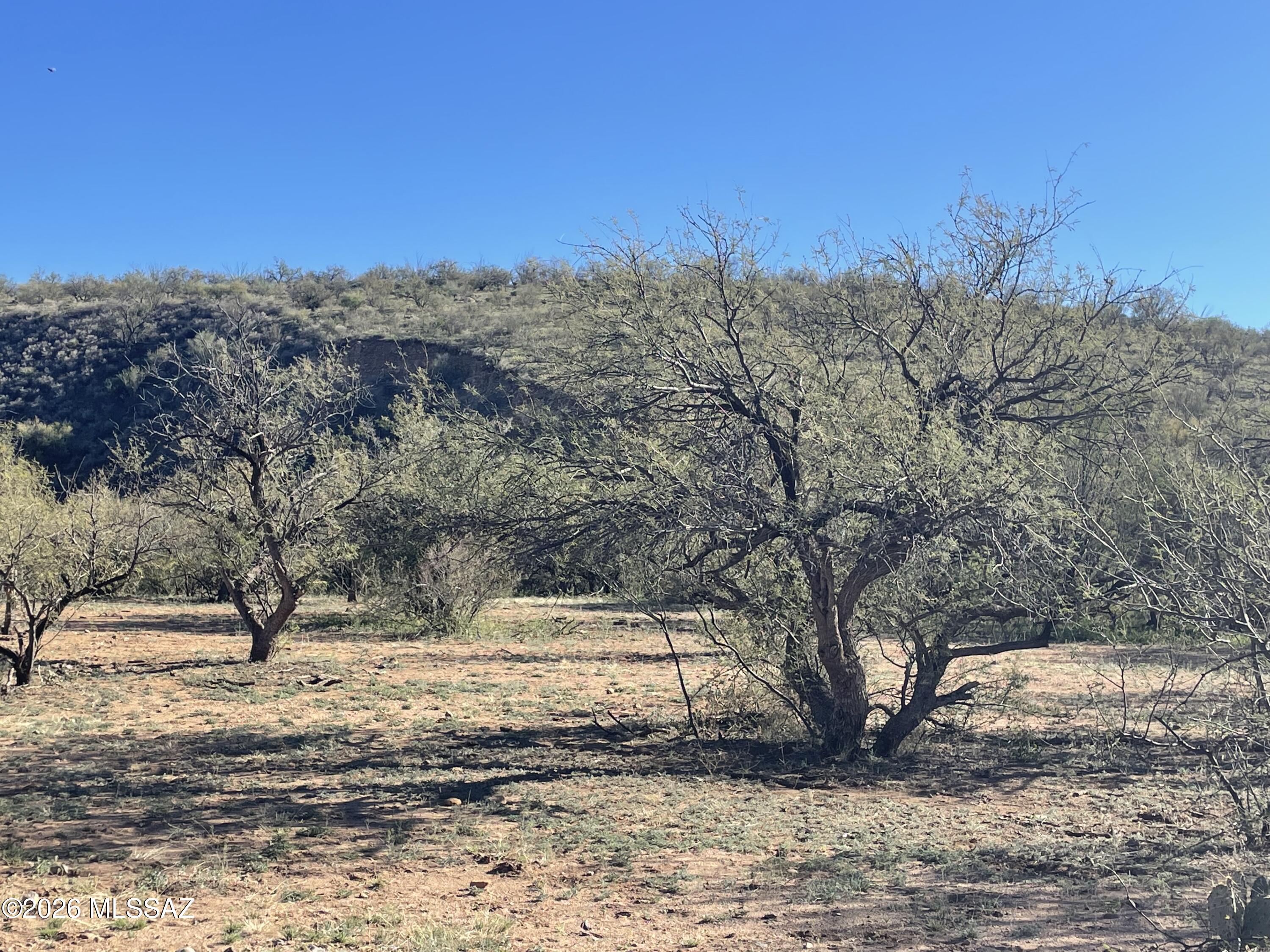 Tubac Foothills Ranch - Land