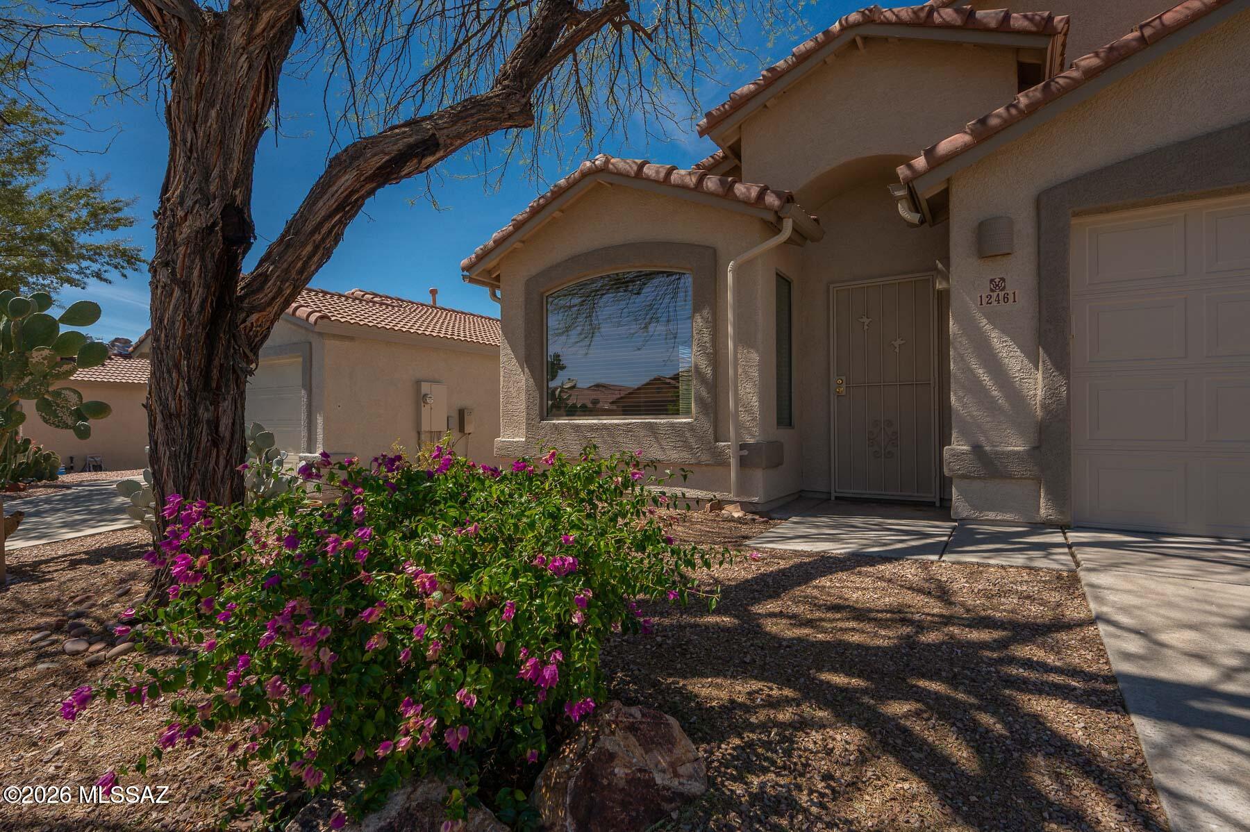 NEW ROOF IN MAY! Light & bright, lovely, warm 4 BR home has open desert & beautiful mtn views from the rear! FRESHLY UPDATED W/NEW CARPET, PLANK TILE, NEW FIXTURES INCL, LIGHTS/FANS, TOILETS & EXTERIOR PAINT . Great floorplan has many architectural details. Formal liv/din combo in spacious front room, fam rm open to kit w/entertainment center & gas f/p. Easy kit layout has pantry closet, Corian c-tops, gas stove, newer s/s apps. Covered brick patio looks out on serene bkyd w/queen palms, native flowers, some grass & that wide open view! Secluded master suite has sep garden tub & shower, walk-in closet. 3 secondary Bdrms share a Jack & Jill-like bath w/doors at either end opening to hallways. Soft H2O, garage cabs, deep sink in 2 car garage. Gutters around entire house. Immaculate, must see