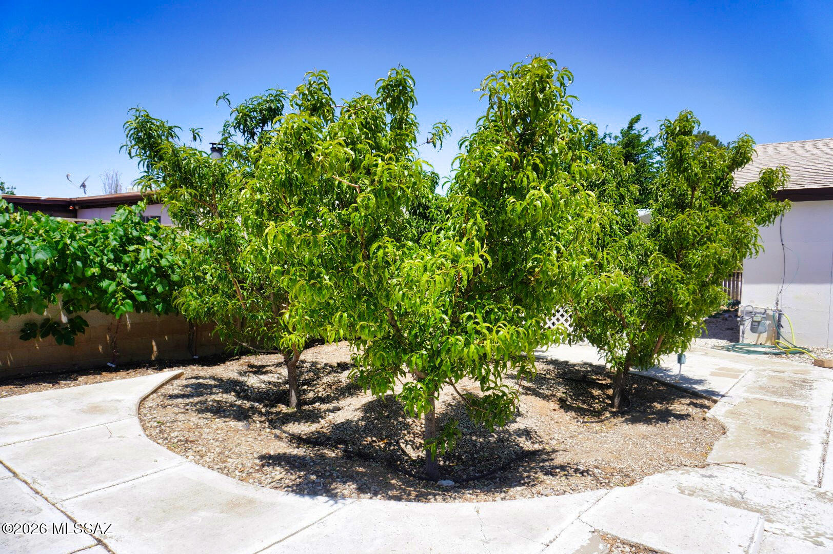 Arizona Sun Sites - Residential