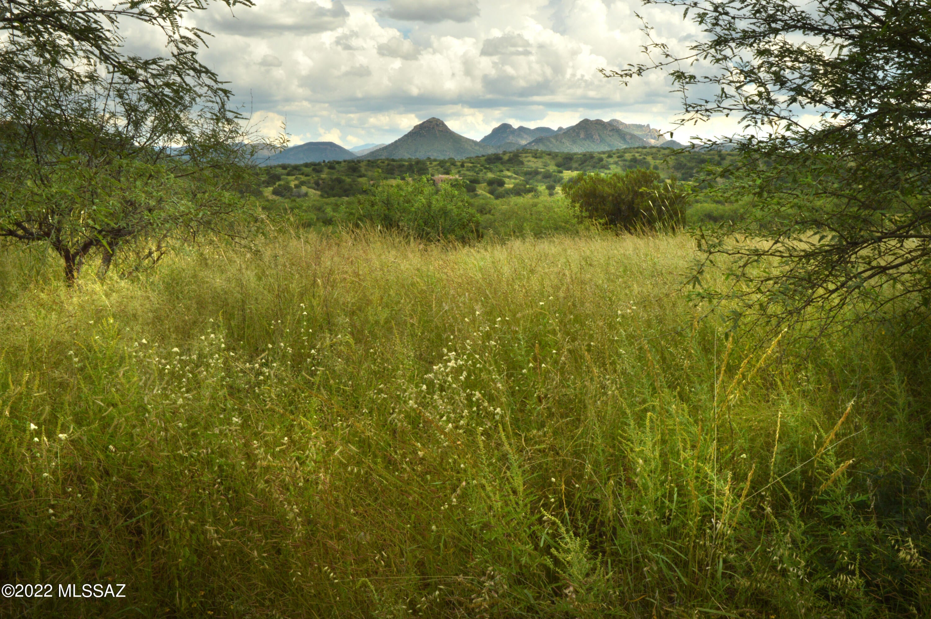 Lazy RR Ranch Estates - Land