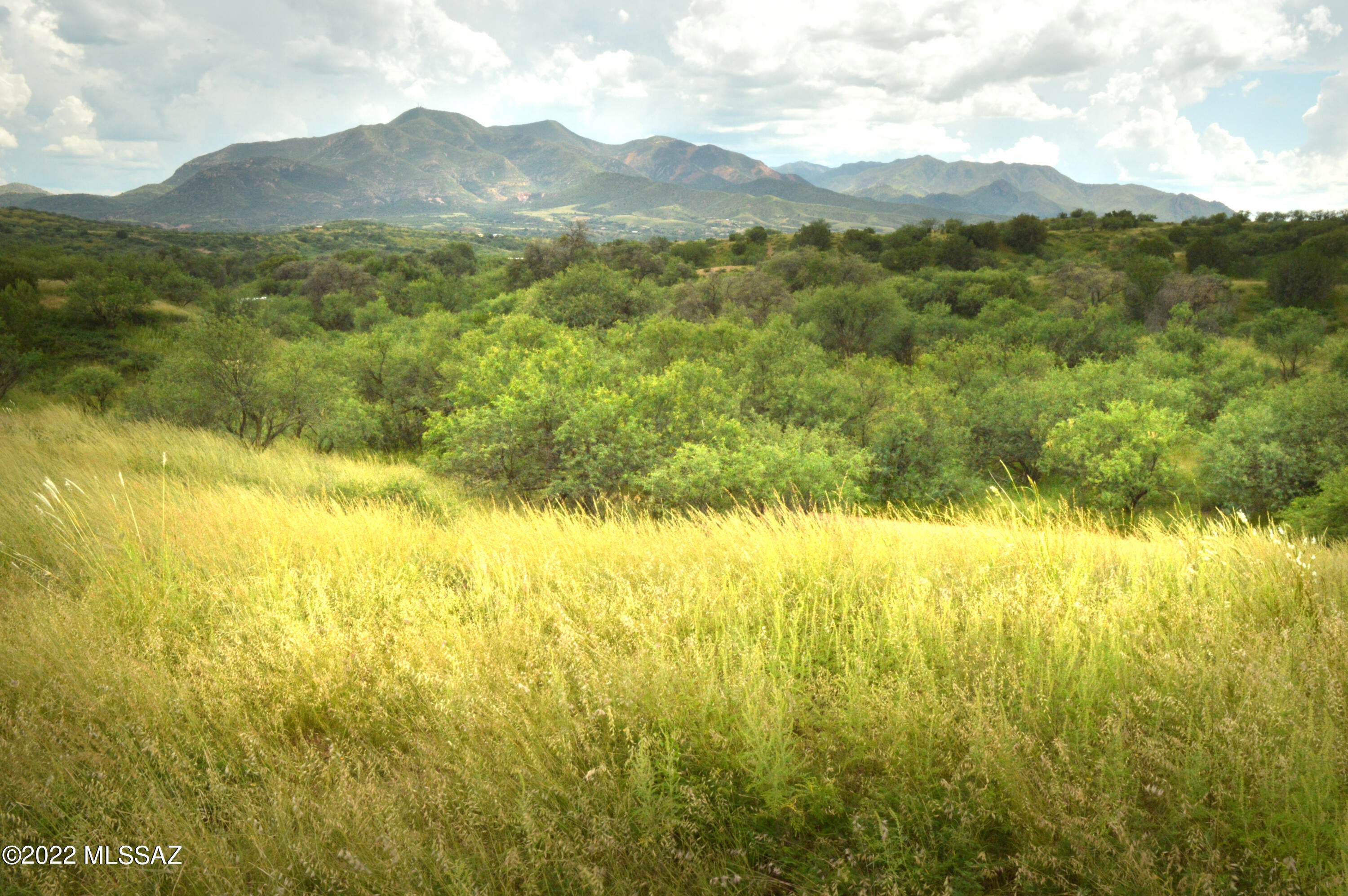 Lazy RR Ranch Estates - Land