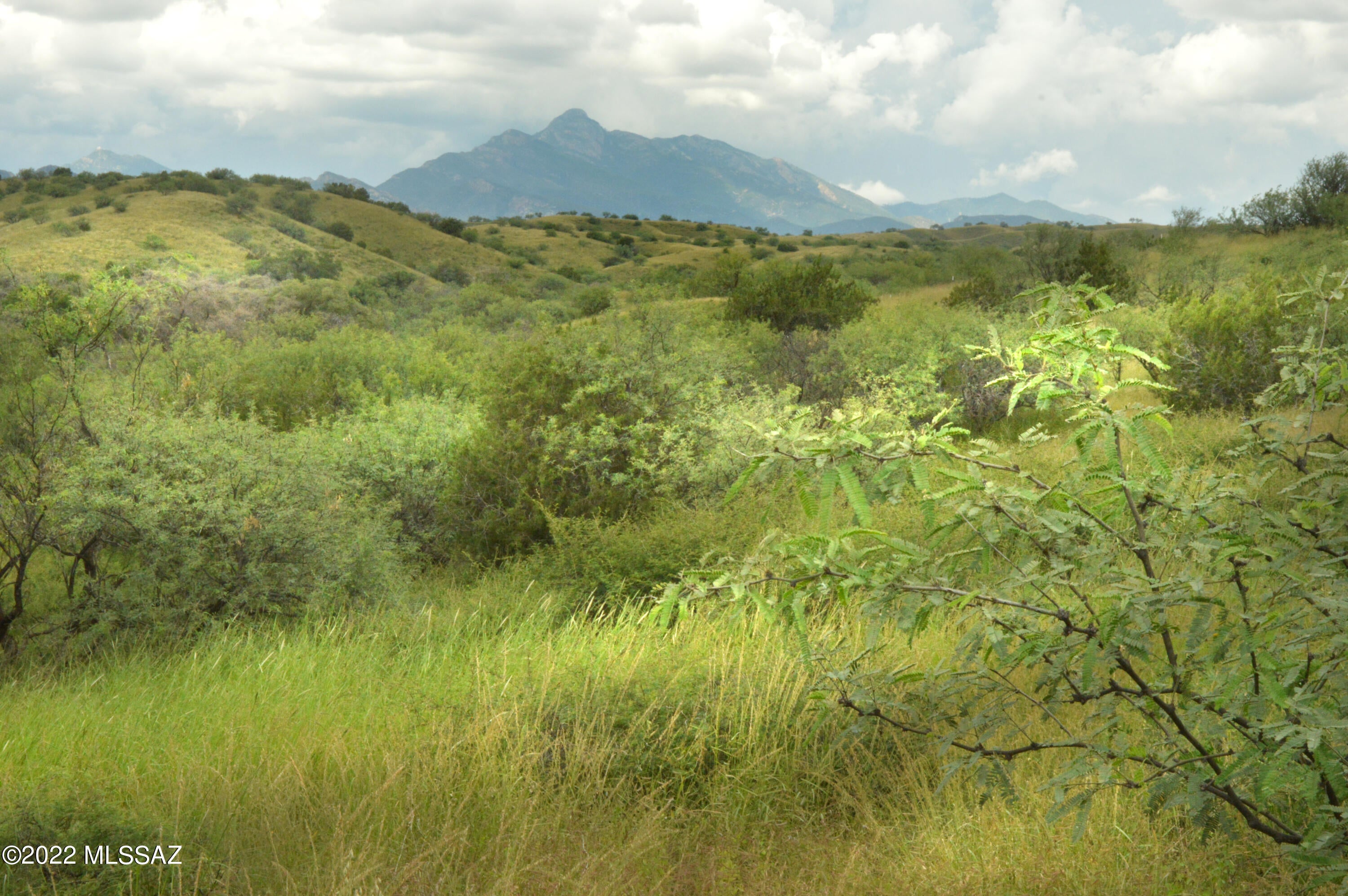 Lazy RR Ranch Estates - Land