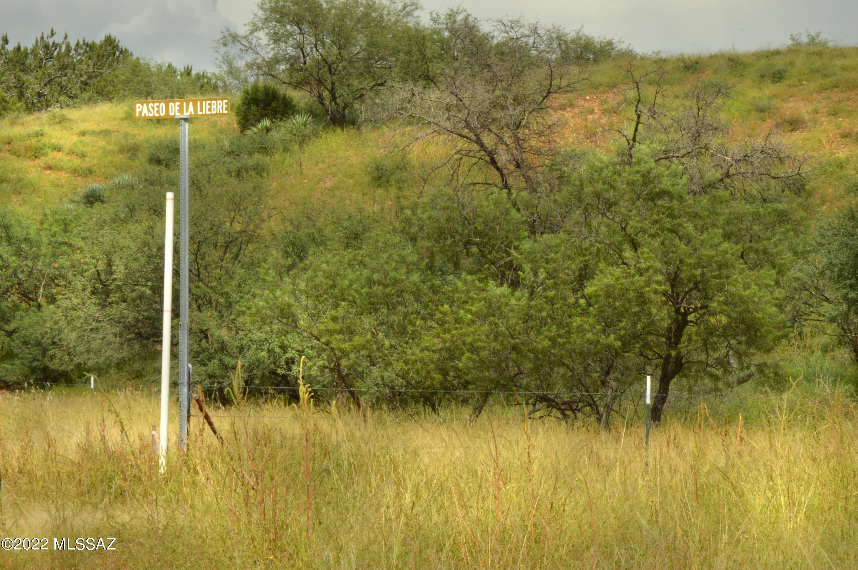 Lazy RR Ranch Estates - Land