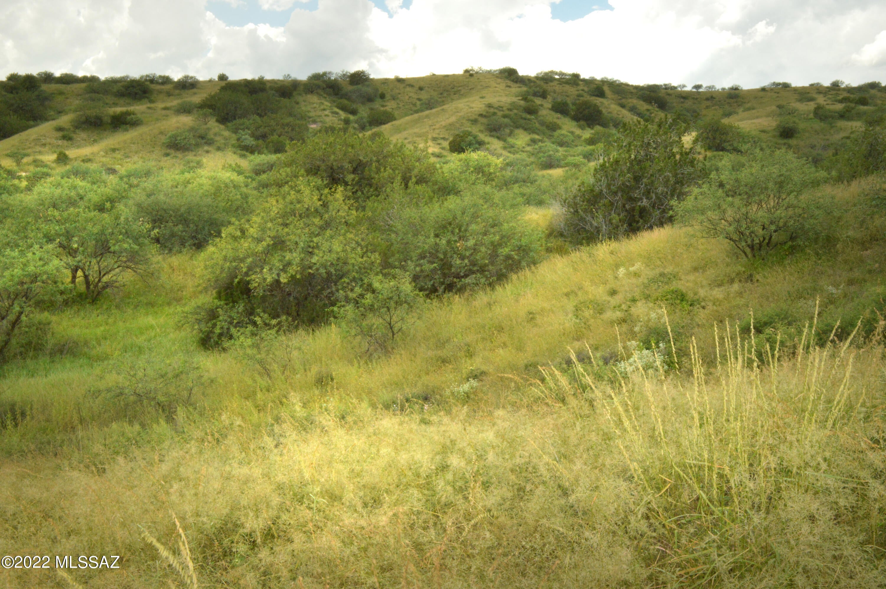 Lazy RR Ranch Estates - Land