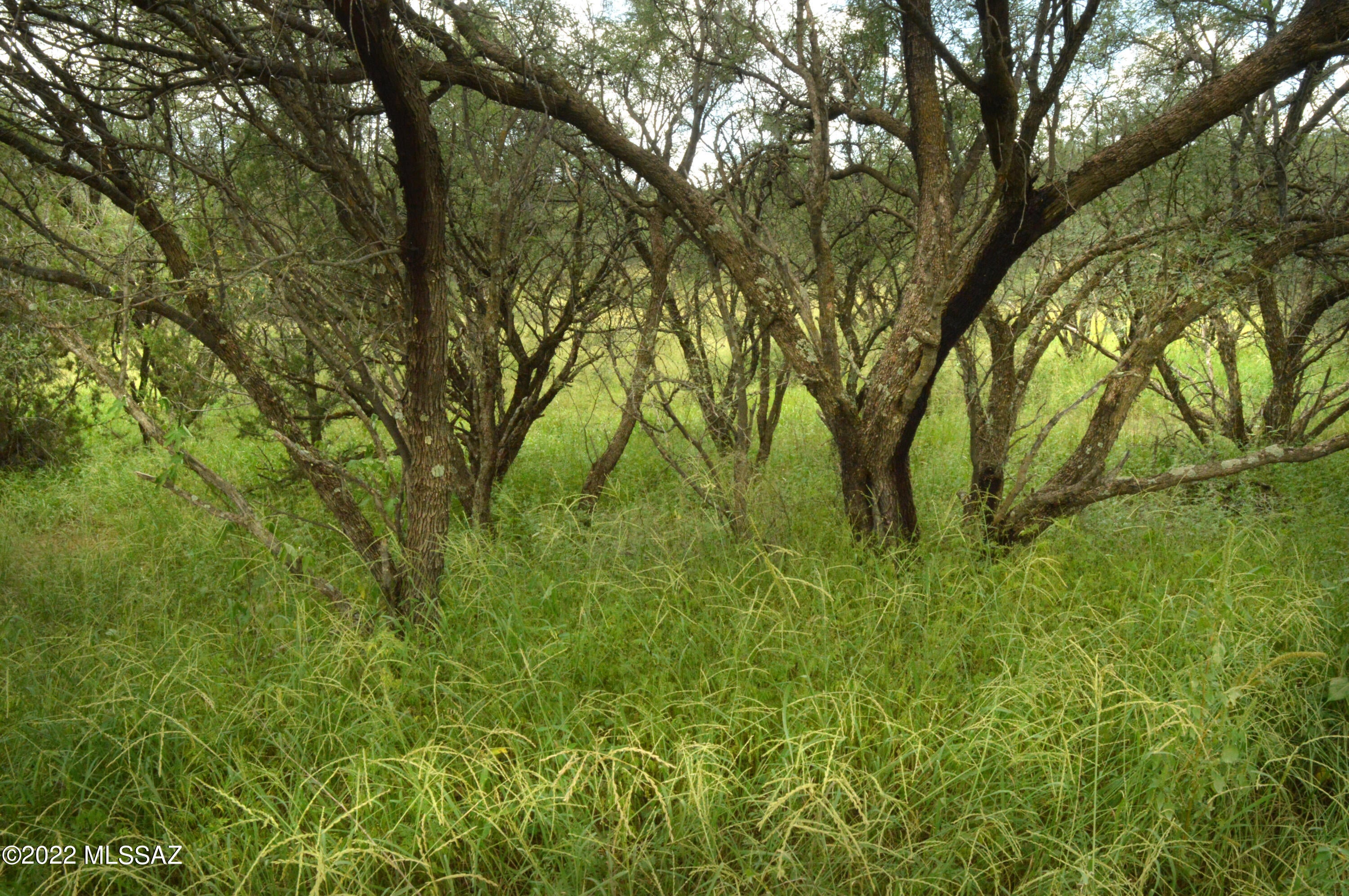 Lazy RR Ranch Estates - Land