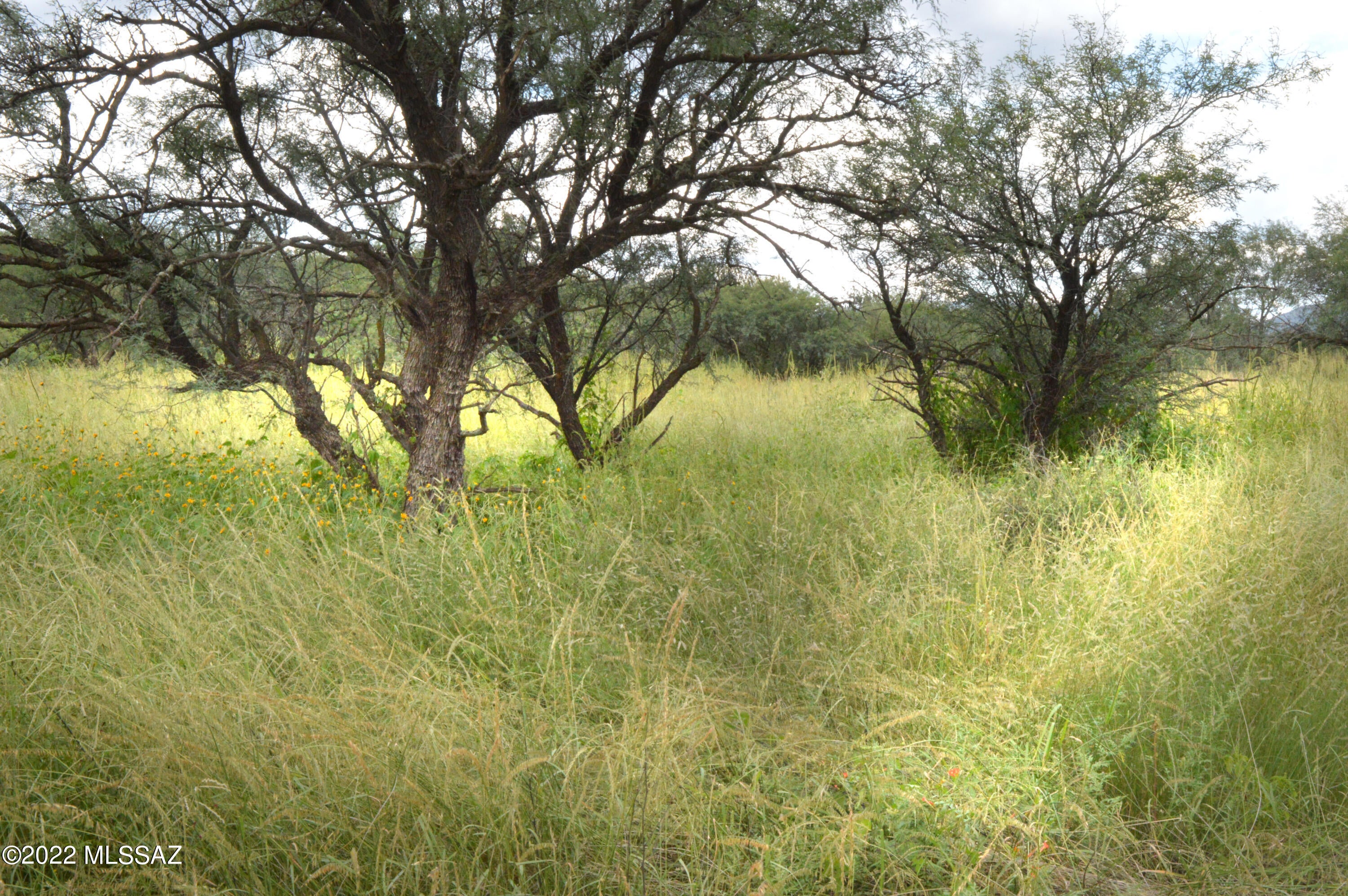 Lazy RR Ranch Estates - Land