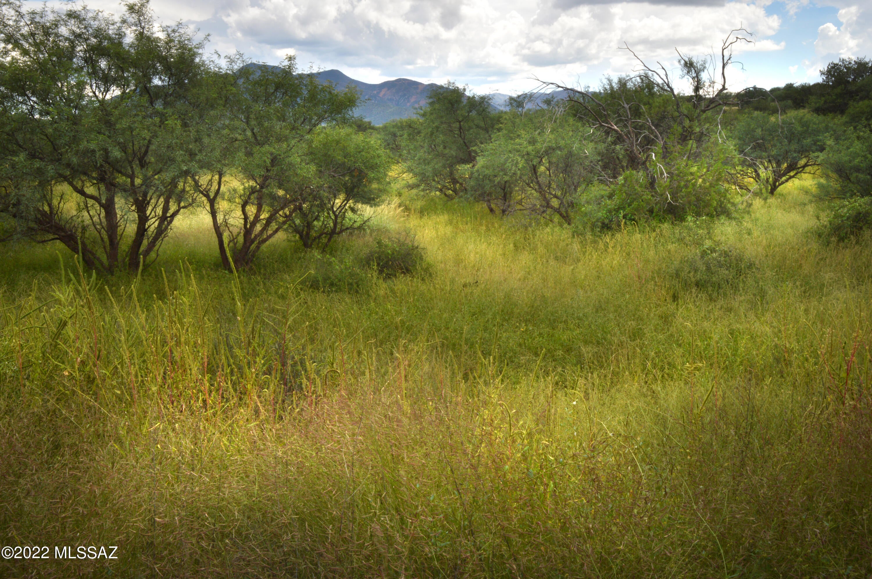 Lazy RR Ranch Estates - Land