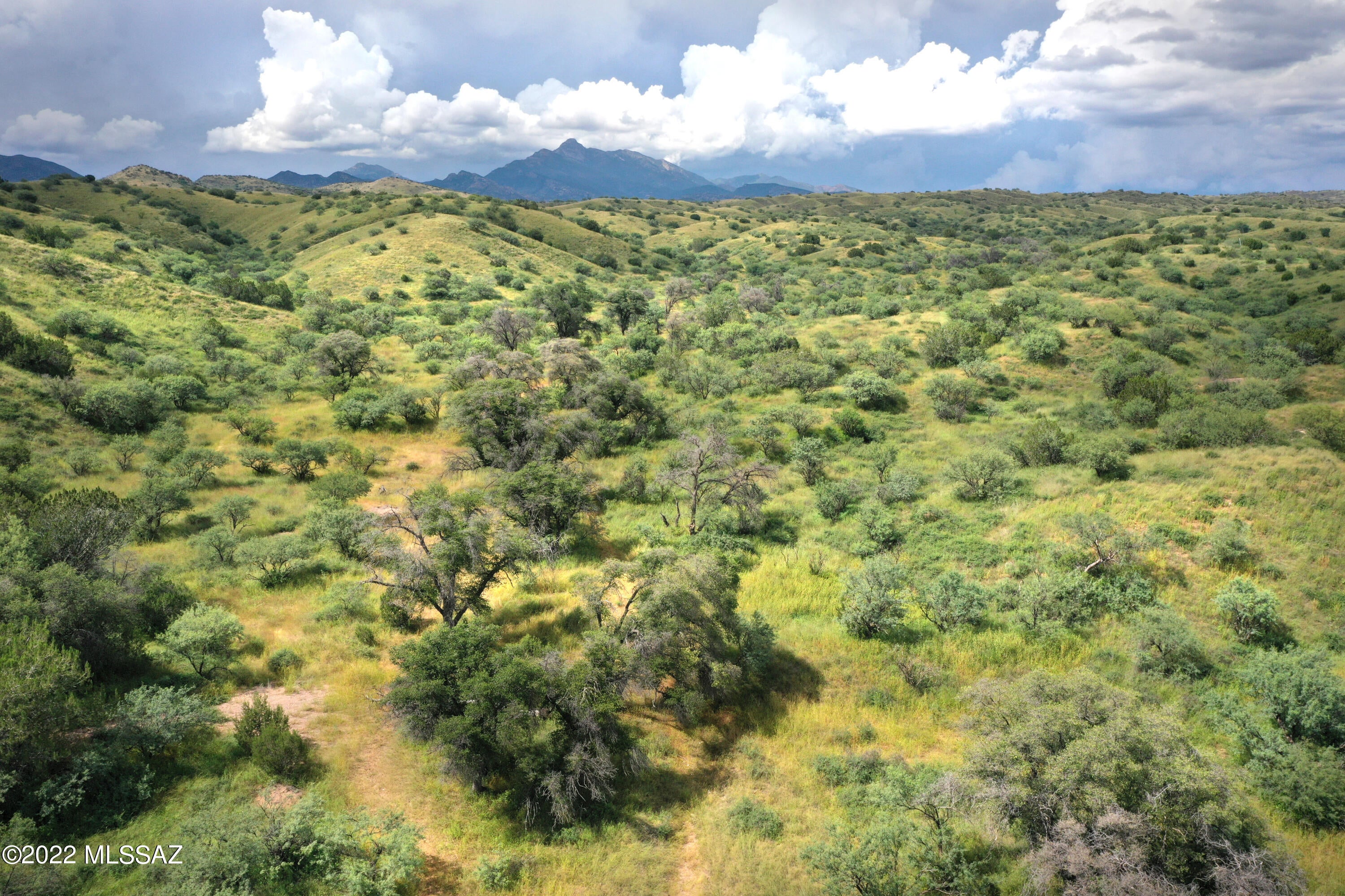 Lazy RR Ranch Estates - Land