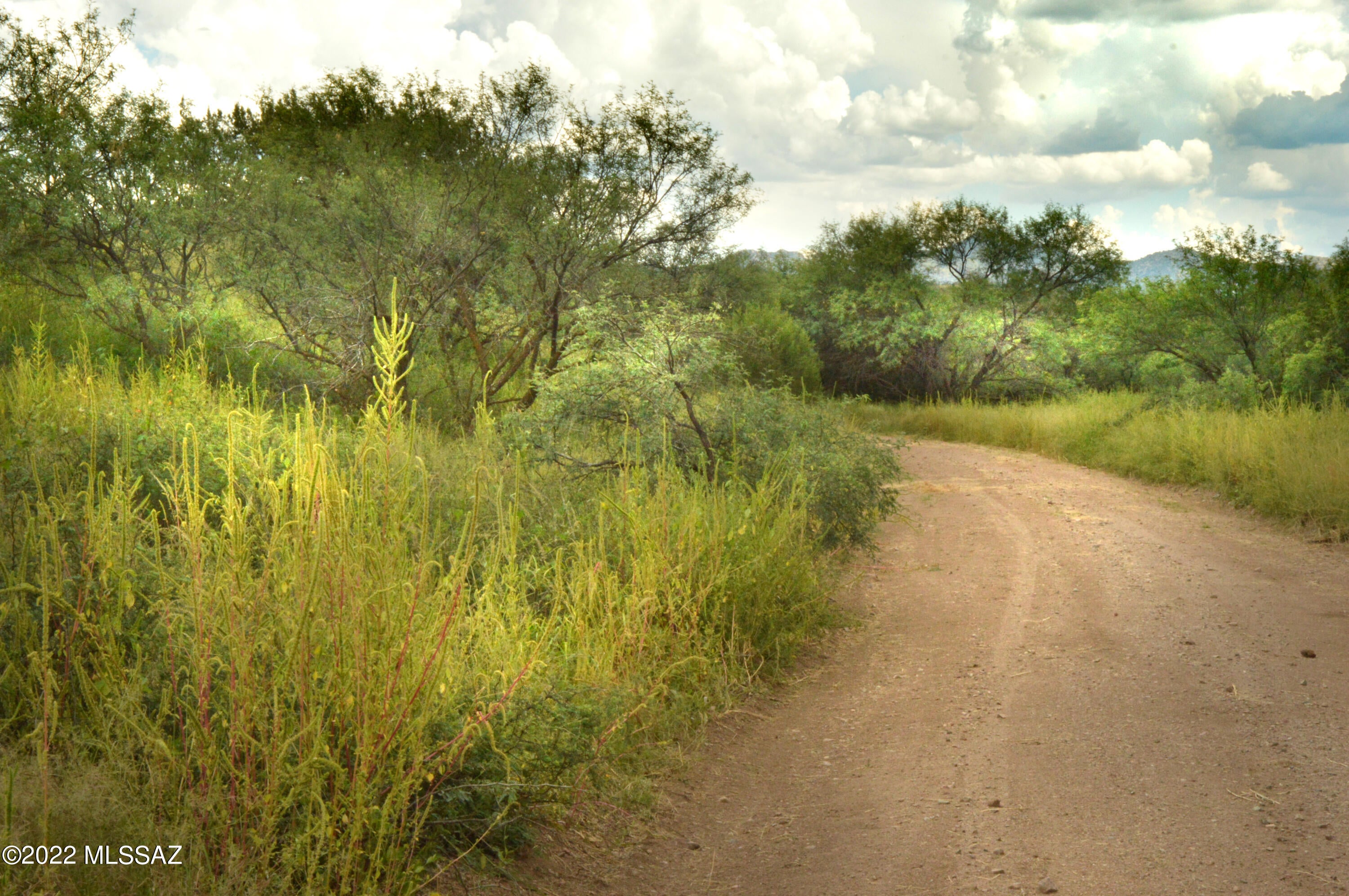 Lazy RR Ranch Estates - Land