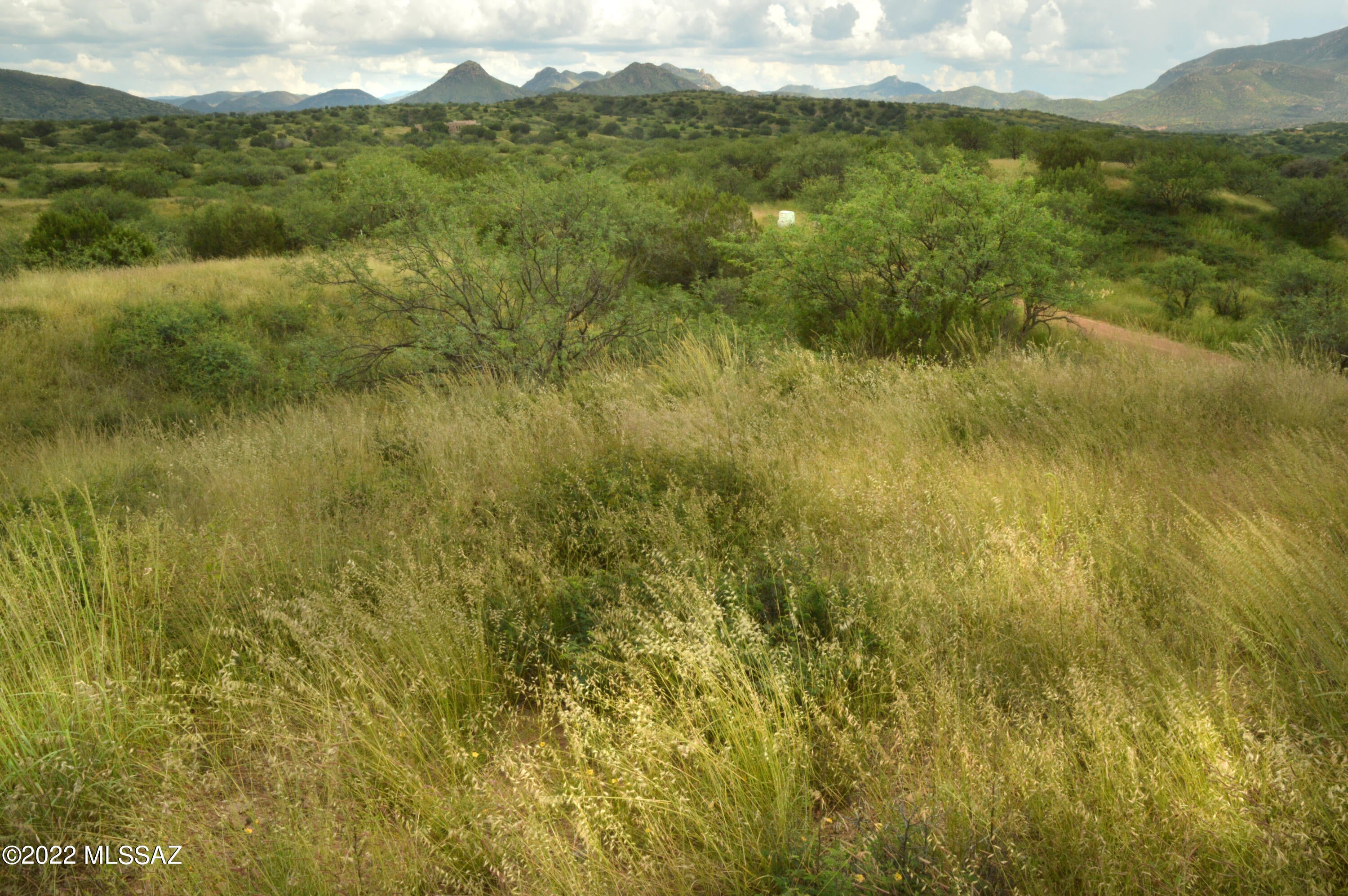 Lazy RR Ranch Estates - Land