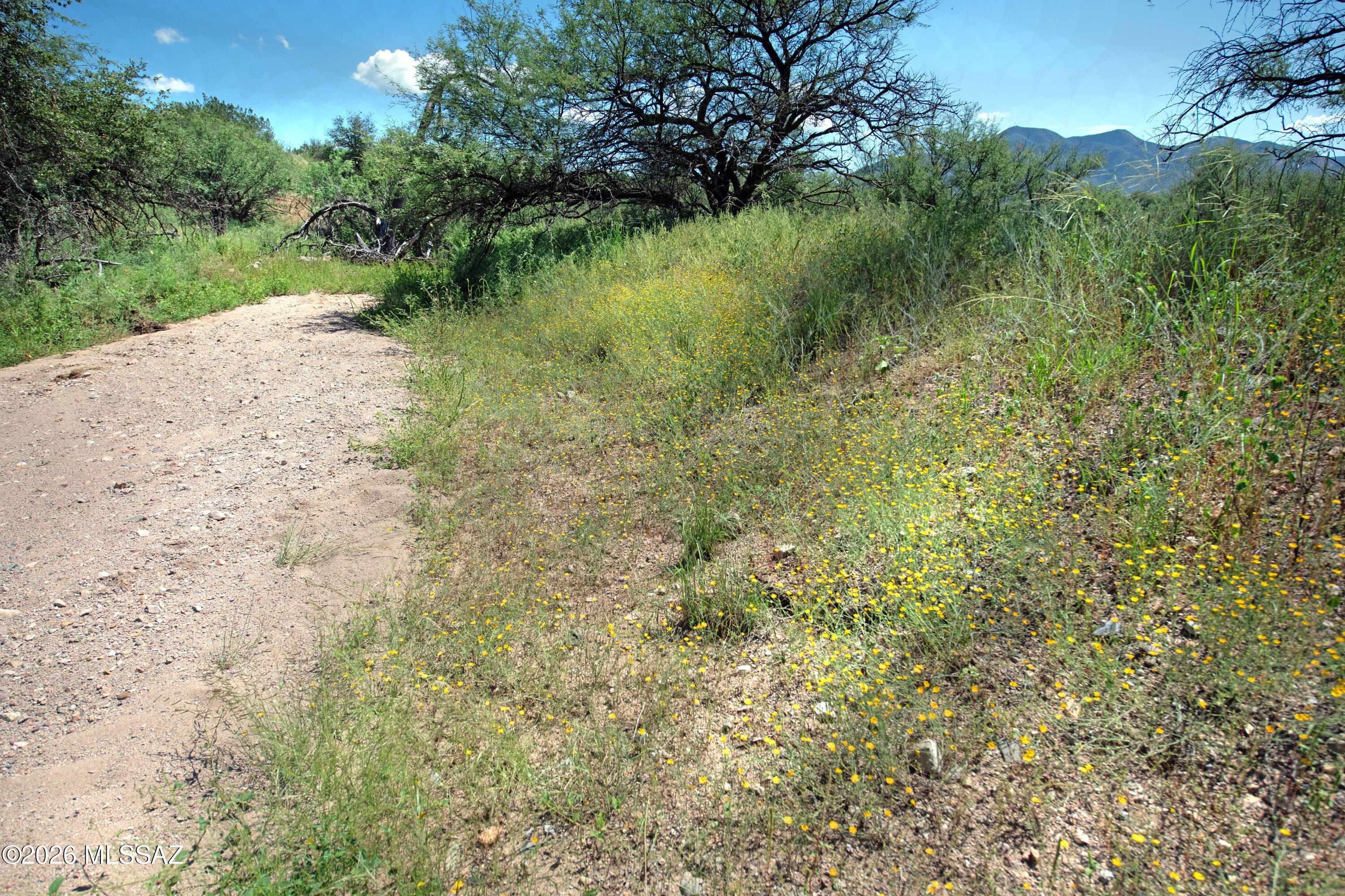 Lazy RR Ranch Estates - Land