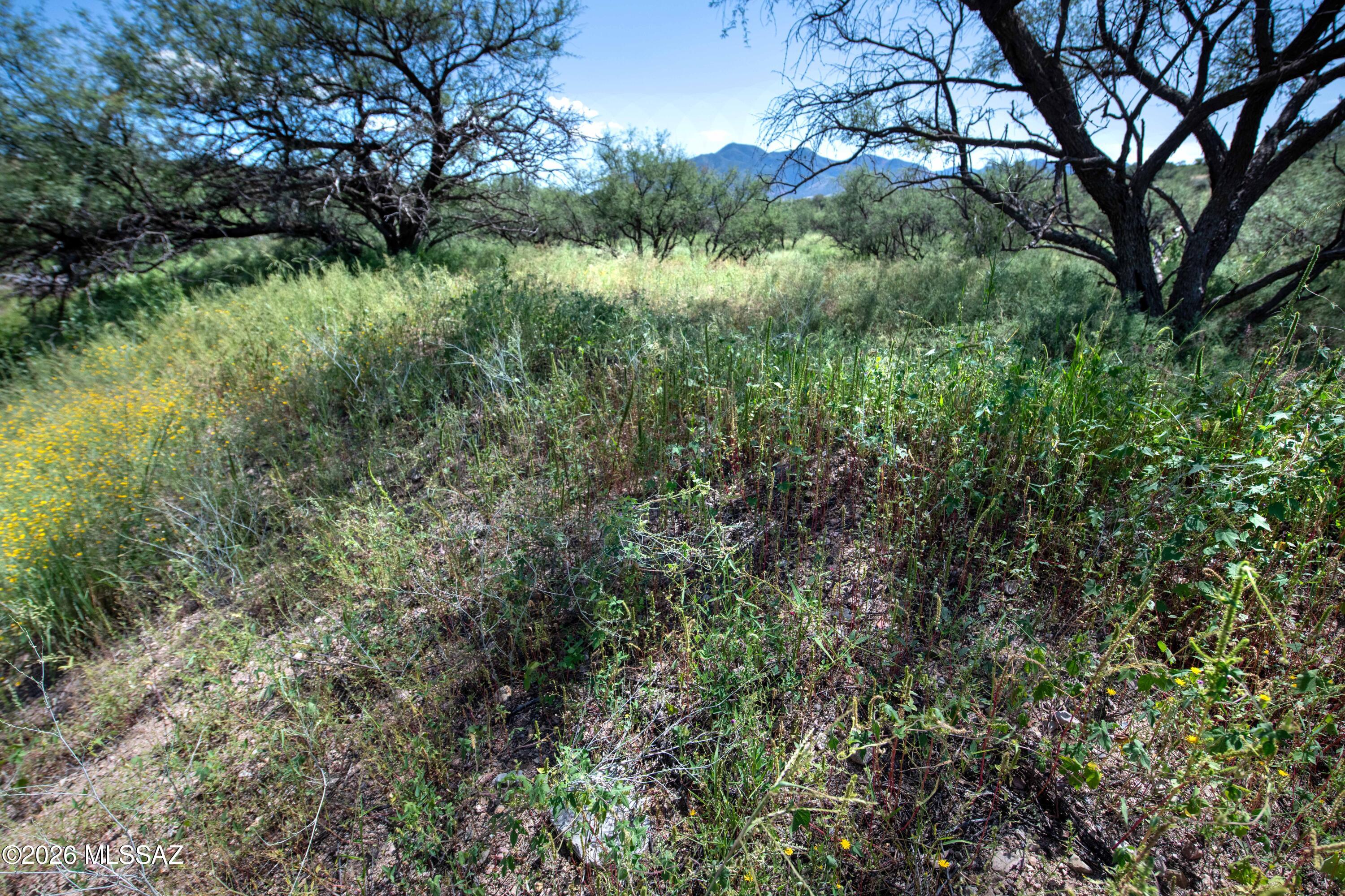 Lazy RR Ranch Estates - Land