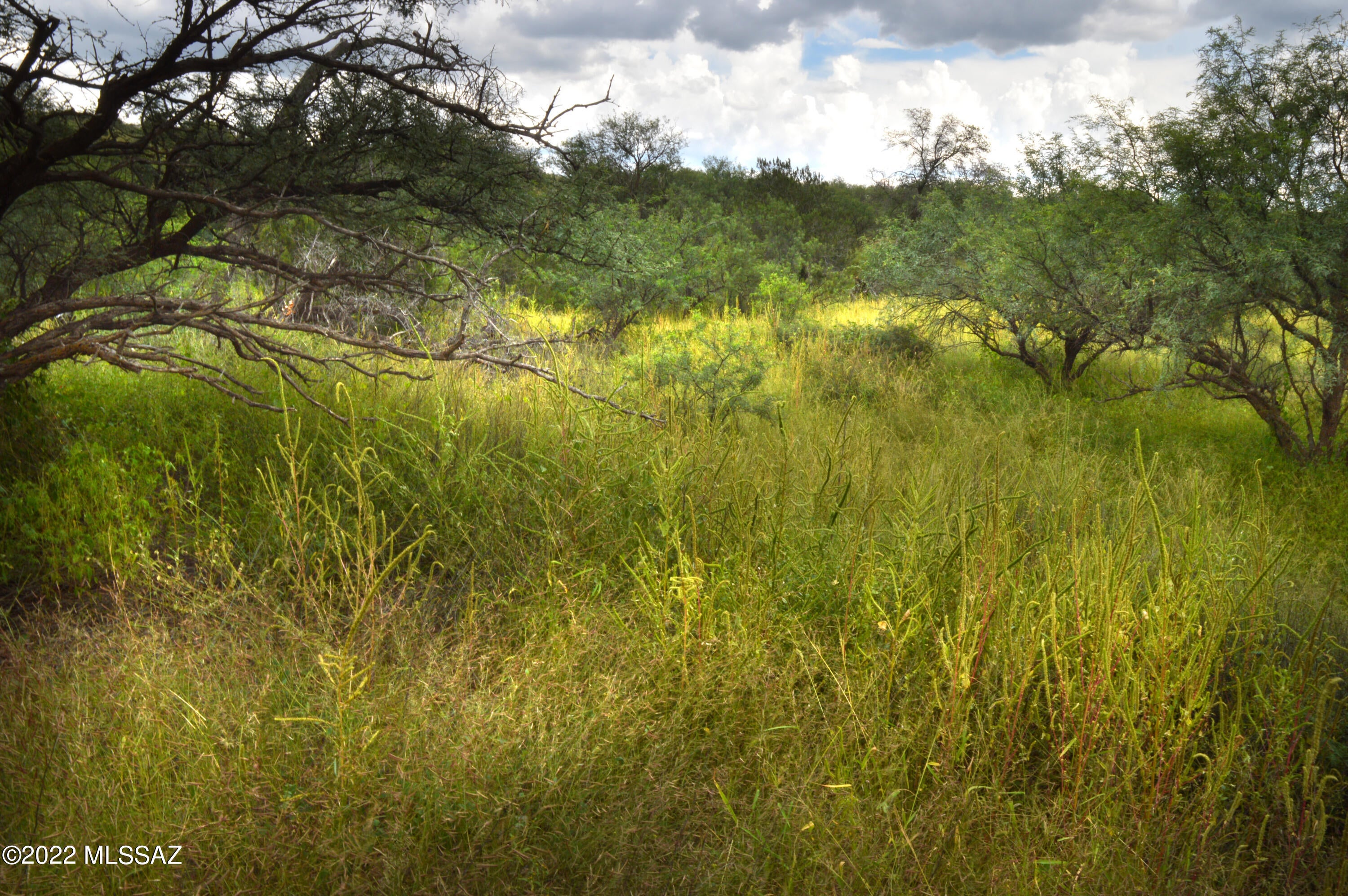 Lazy RR Ranch Estates - Land