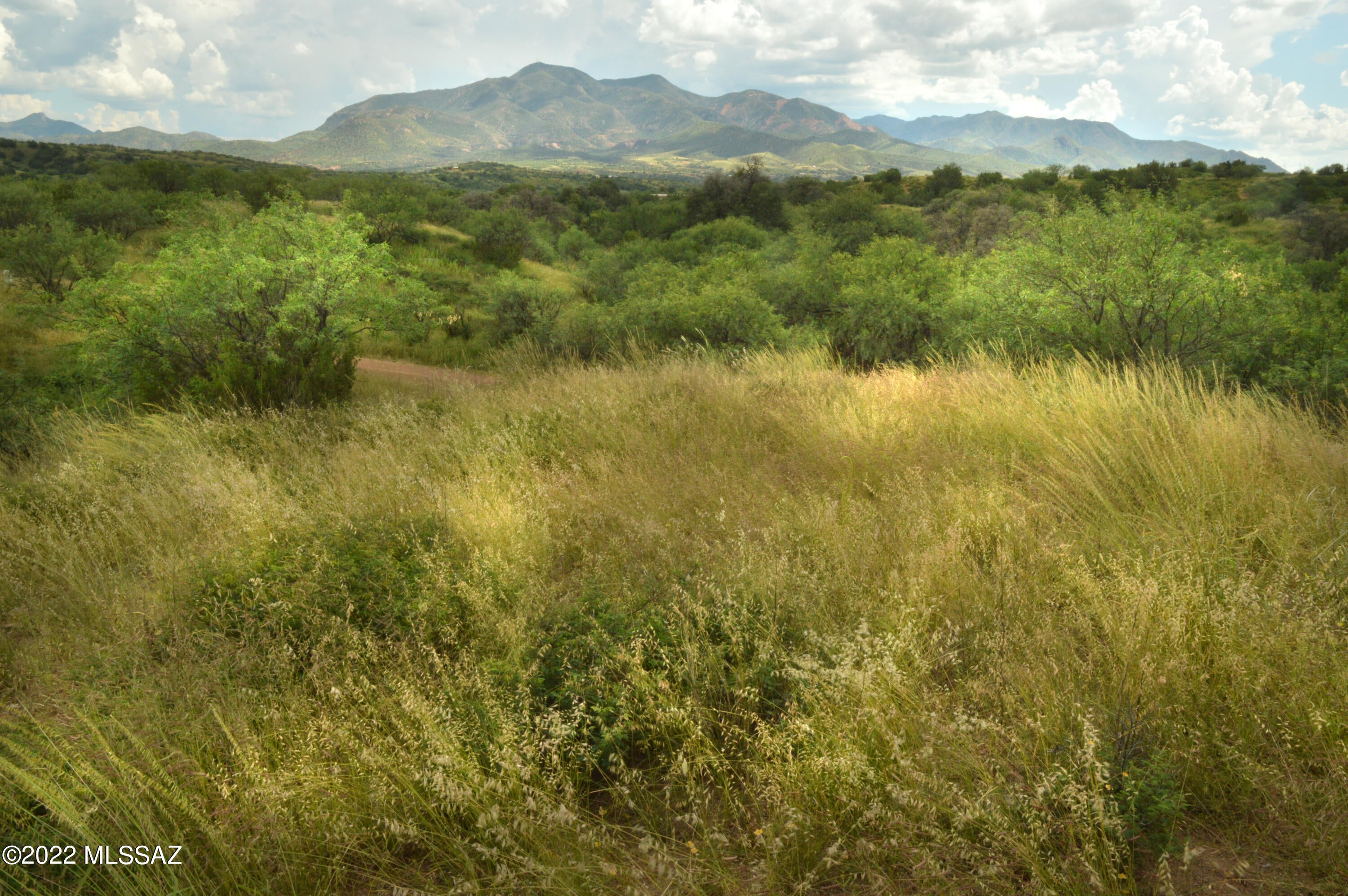 Lazy RR Ranch Estates - Land