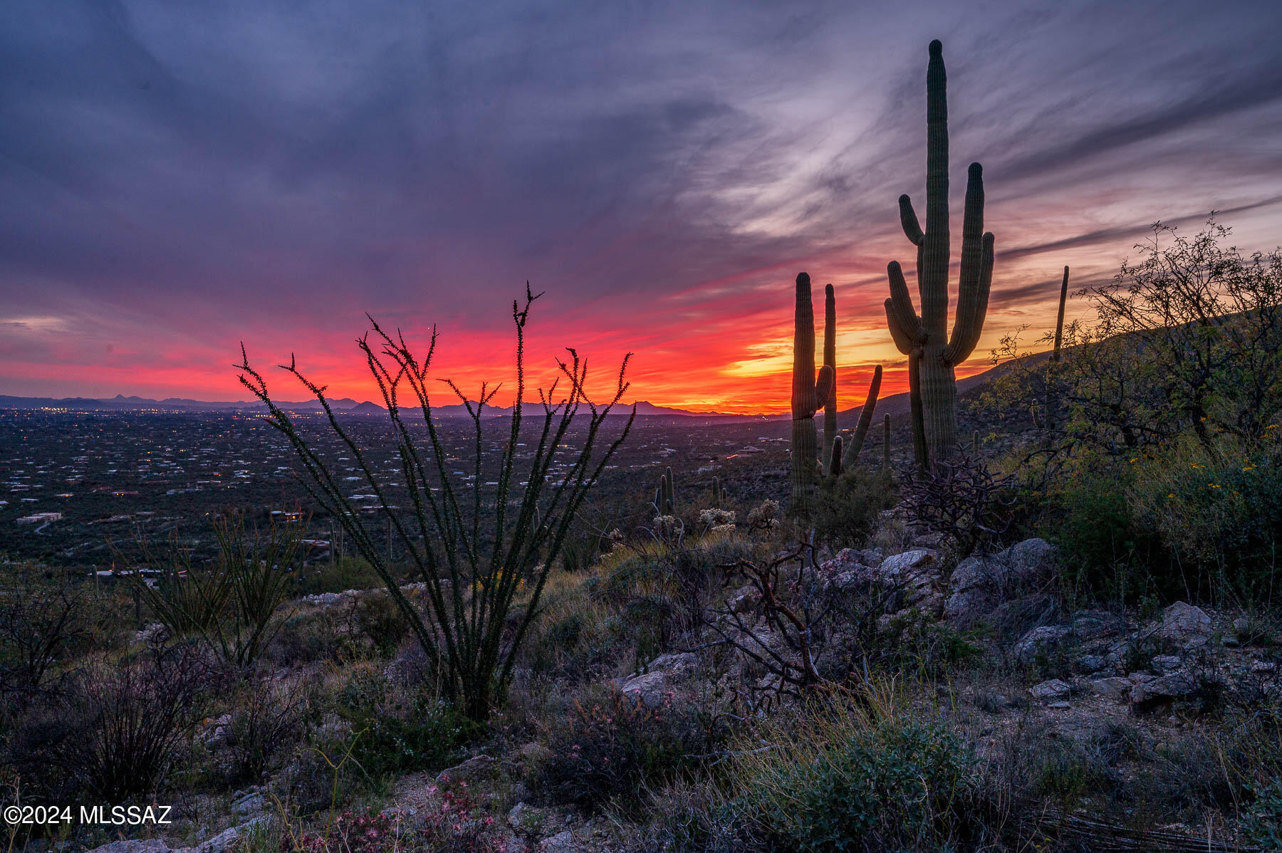 This beautiful premier lot ''E'' is in the Northeast corner of Tucson AZ in the highly popular Tanque Verde Valley. Perched on the mountainside of the Catalina Mountains, this lot feature spectacular views of mountains, City lights, sunsets & sunrises, stars and much more. Tucked between the beautiful Molino Canyon & Aqua Caliente Canyon w/ wildlife, saguaros & desert landscaping, gorgeous rock features, hiking trails and more. This lot has a proposed building pad that is partially graded. On file, there are surveys & more, an extensive file.  This 6.36 acre lot has breath taking views that are best to appreciate around sunset.  Once you experience this land in person, you will fall in love & see why it is so unique & incredible!  Call for an appointment today.  4 other lots for sale too A Lot is also known as M Lot. See videos for a tour. 
This lot is 6+ acres and has a building pad but needs work. 
There is surveys plotting out home location and more.
On the North end of this lot is a great view overlooking Molino Canyon.  Sit on the edge of the canyon and watch life pass on by.
