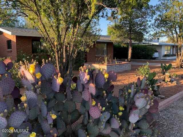 Avondale - Residential