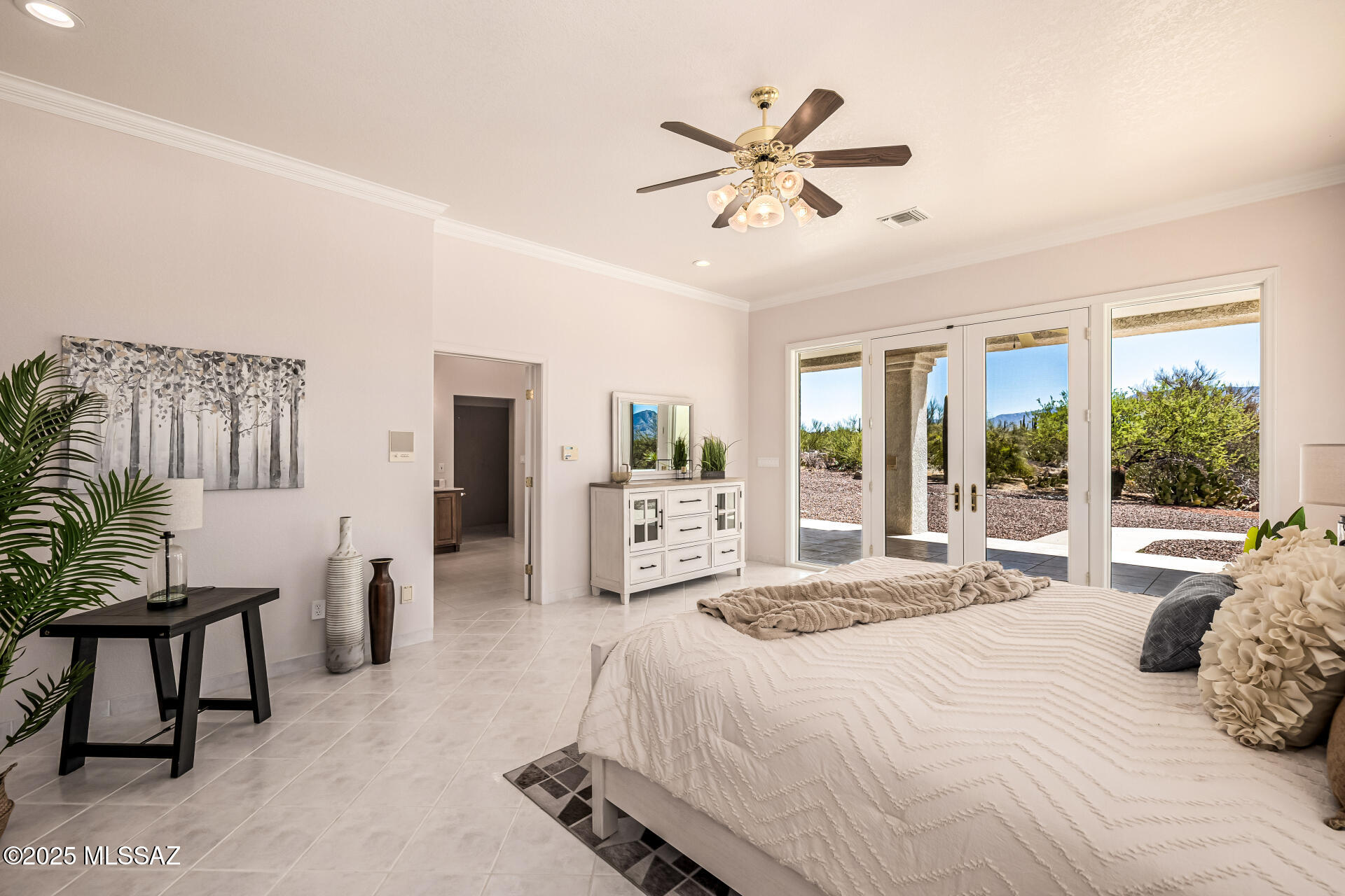 La Cholla Airpark - Residential