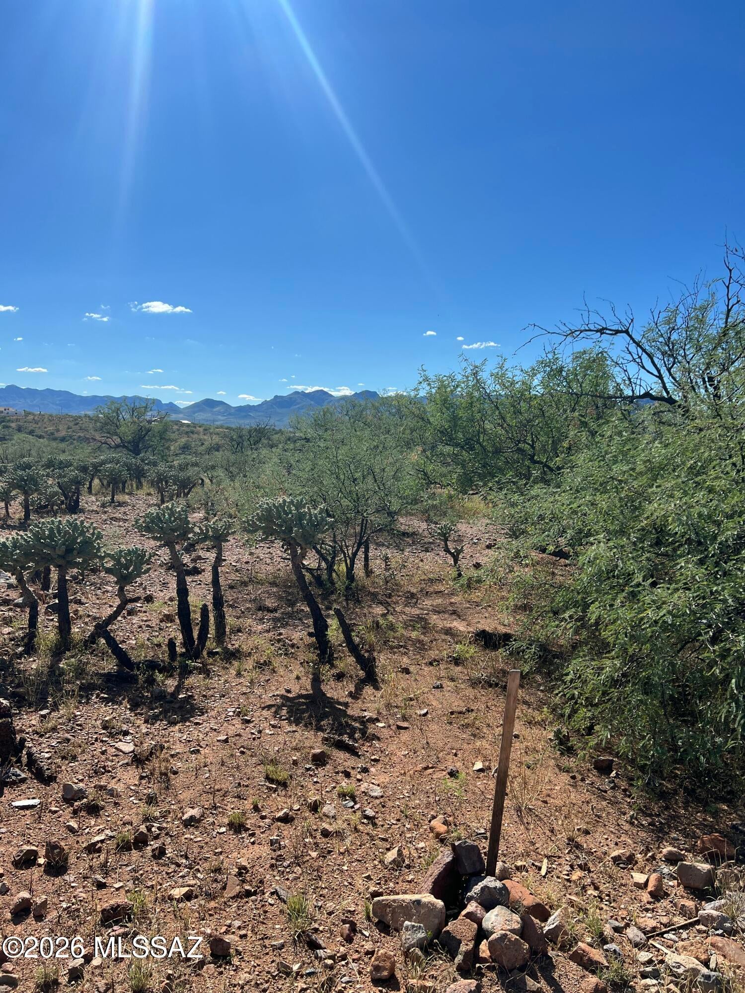Bring your vision to this approximately 0.81-acre lot in Rio Rico! Located on Morsa Court, this parcel offers an opportunity to explore the possibilities of land ownership in Southern Arizona. Whether you're planning a future home or purchasing land for the years ahead, make this property part of your next chapter. Buyer to verify utilities, access, zoning, and suitability for their intended use.