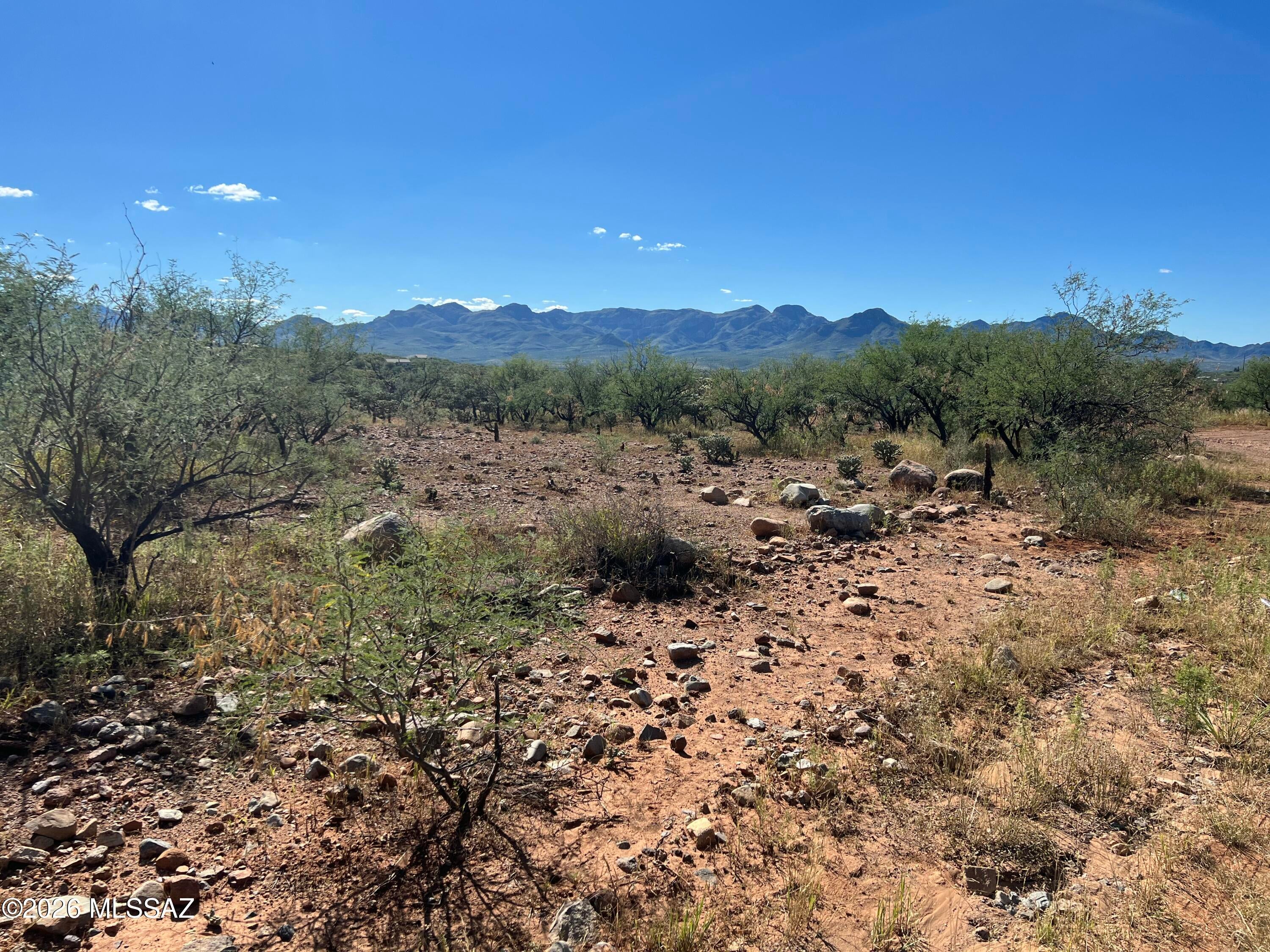 Rio Rico Ranchettes - Land