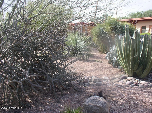 Lots of charm!! Large living/dining room. Very spacious 1 bedroom, 1 bath.  All kitchen appliances, brand new flooring.  View of Community pool from kitchen window. Covered parking & storage, laundry room, trash paid by Landlord(Private covered patio) $25.00/month water.