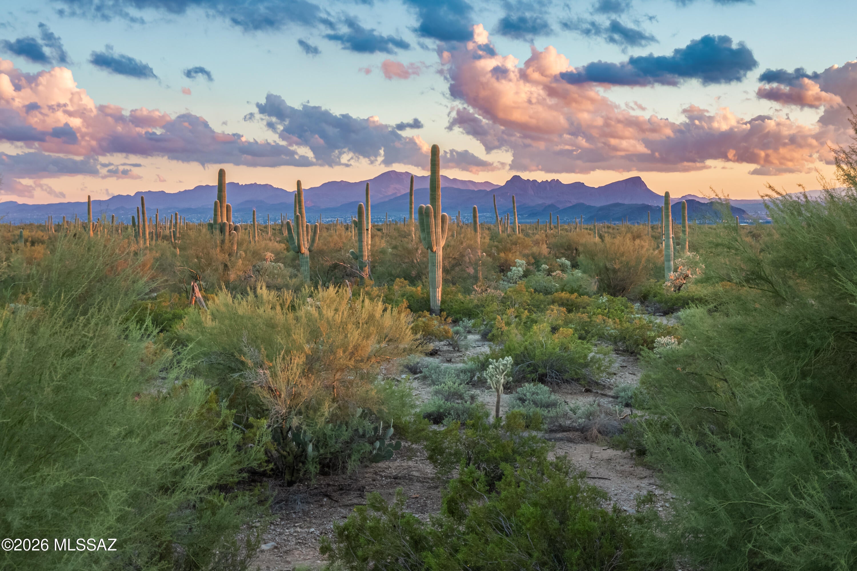 Del Webb At Dove Mountain SQ20131930189 - Residential
