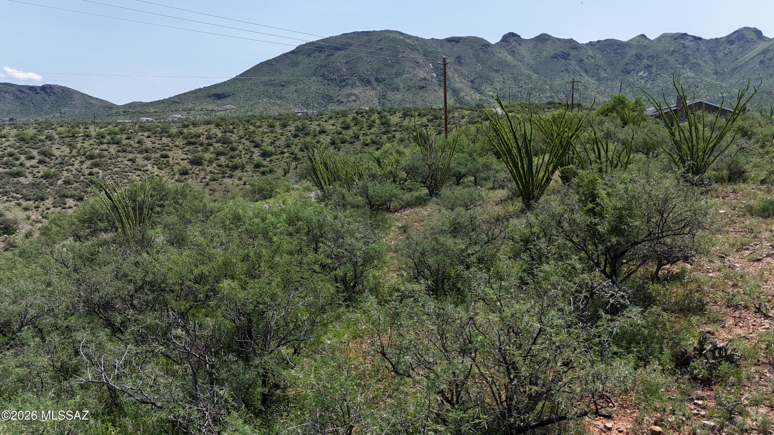 Rio Rico Ranchettes 18 - Land