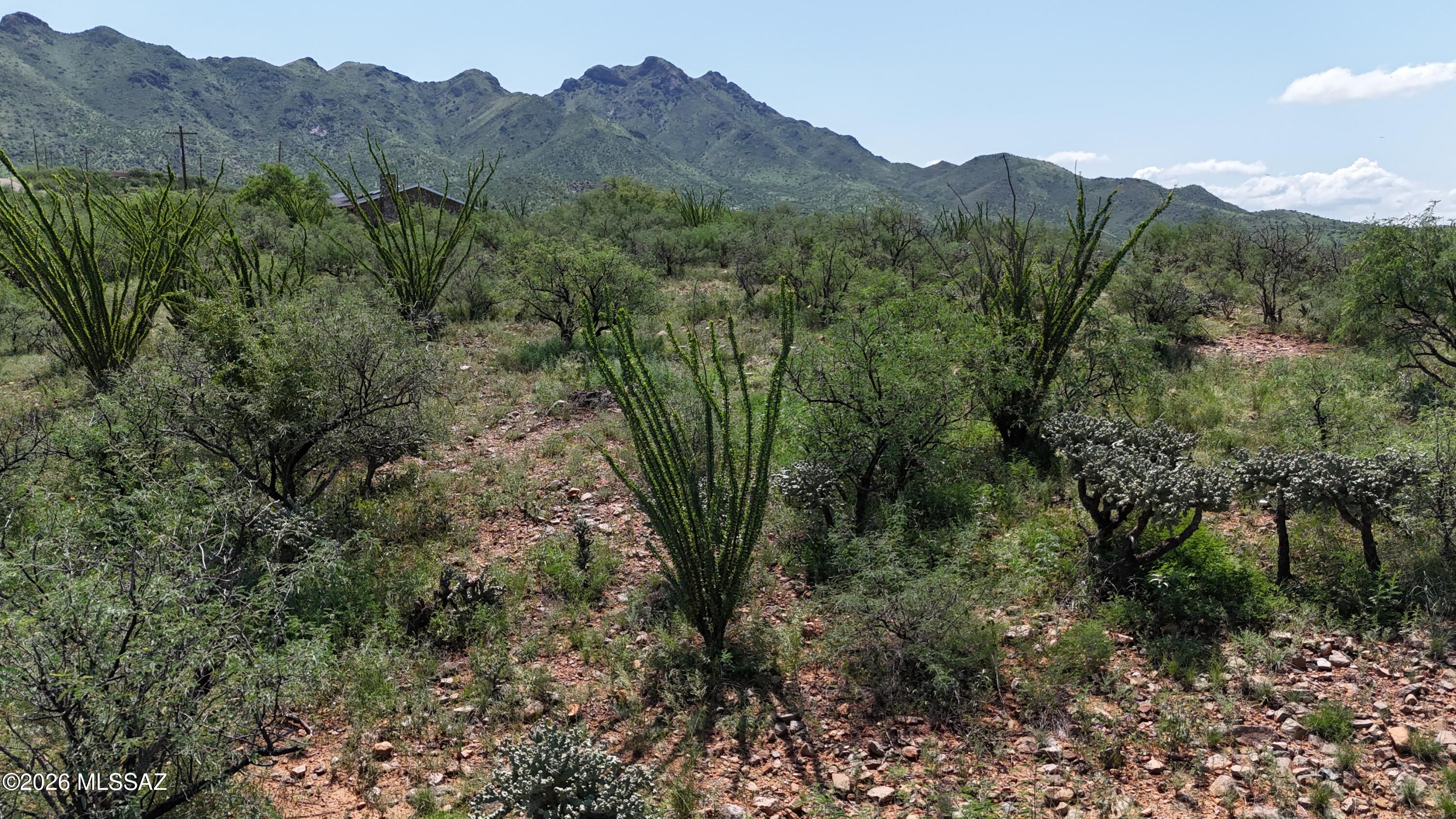 Rio Rico Ranchettes 18 - Land