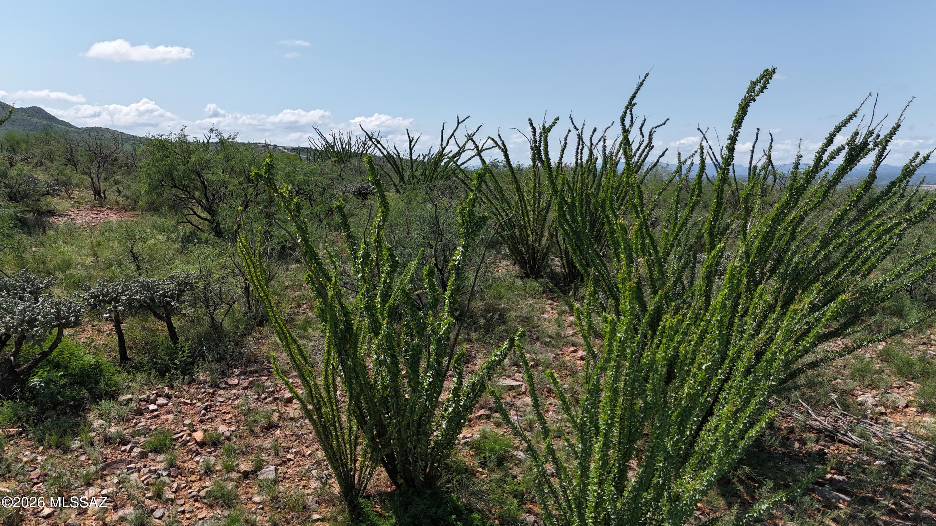 Rio Rico Ranchettes 18 - Land