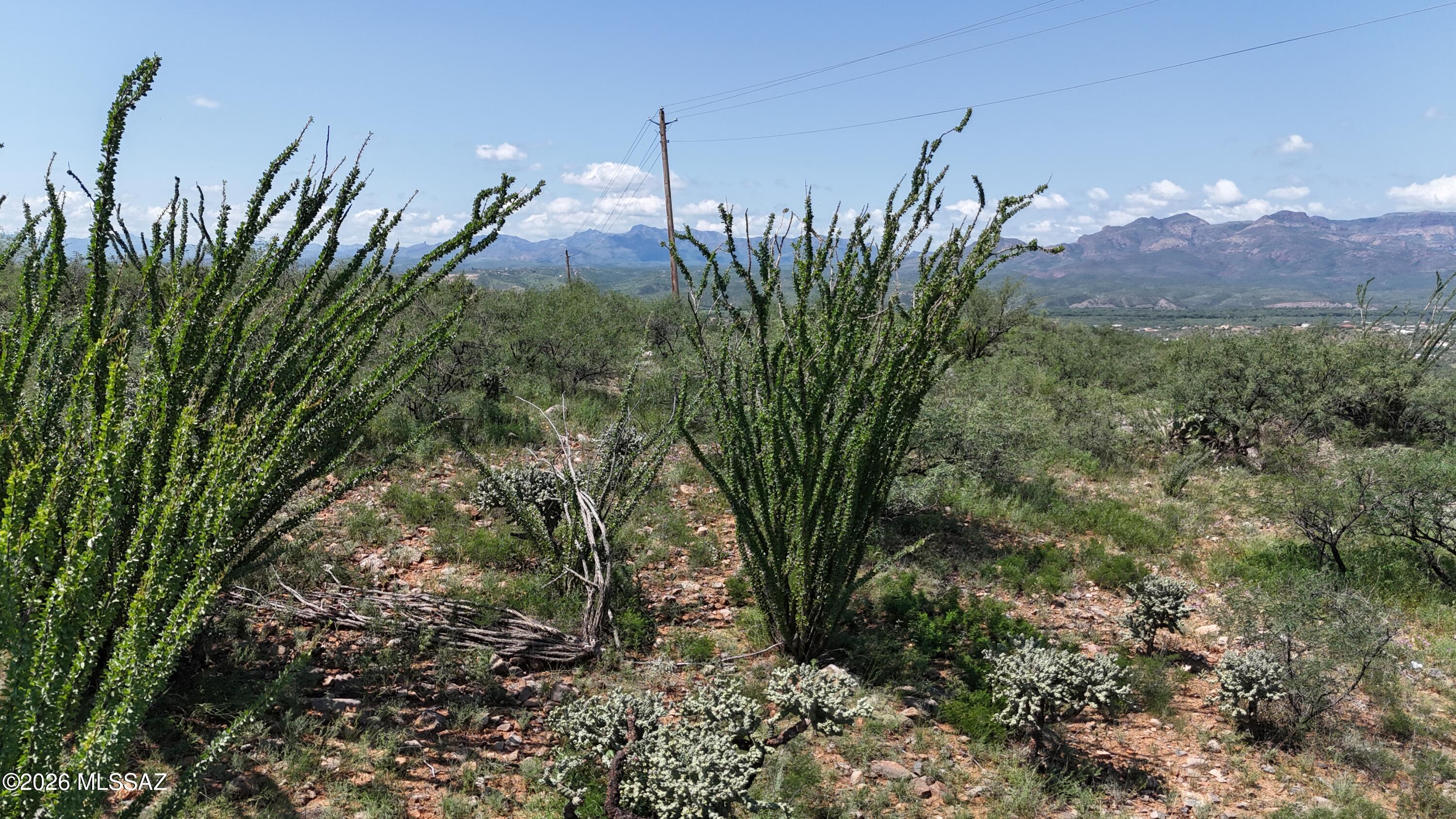 Rio Rico Ranchettes 18 - Land