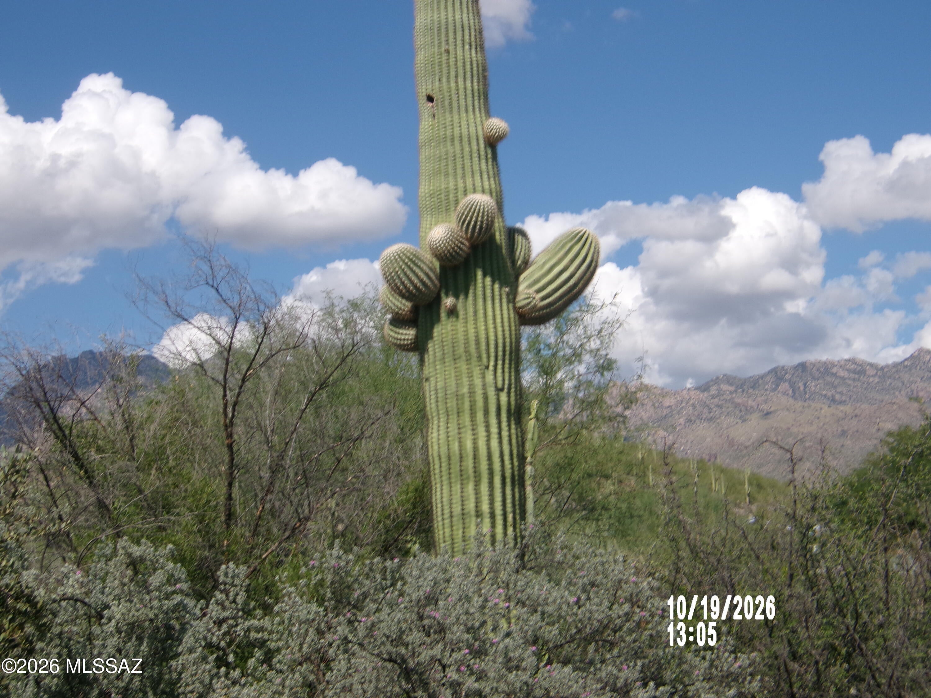 Quail Canyon (1-57) - Residential