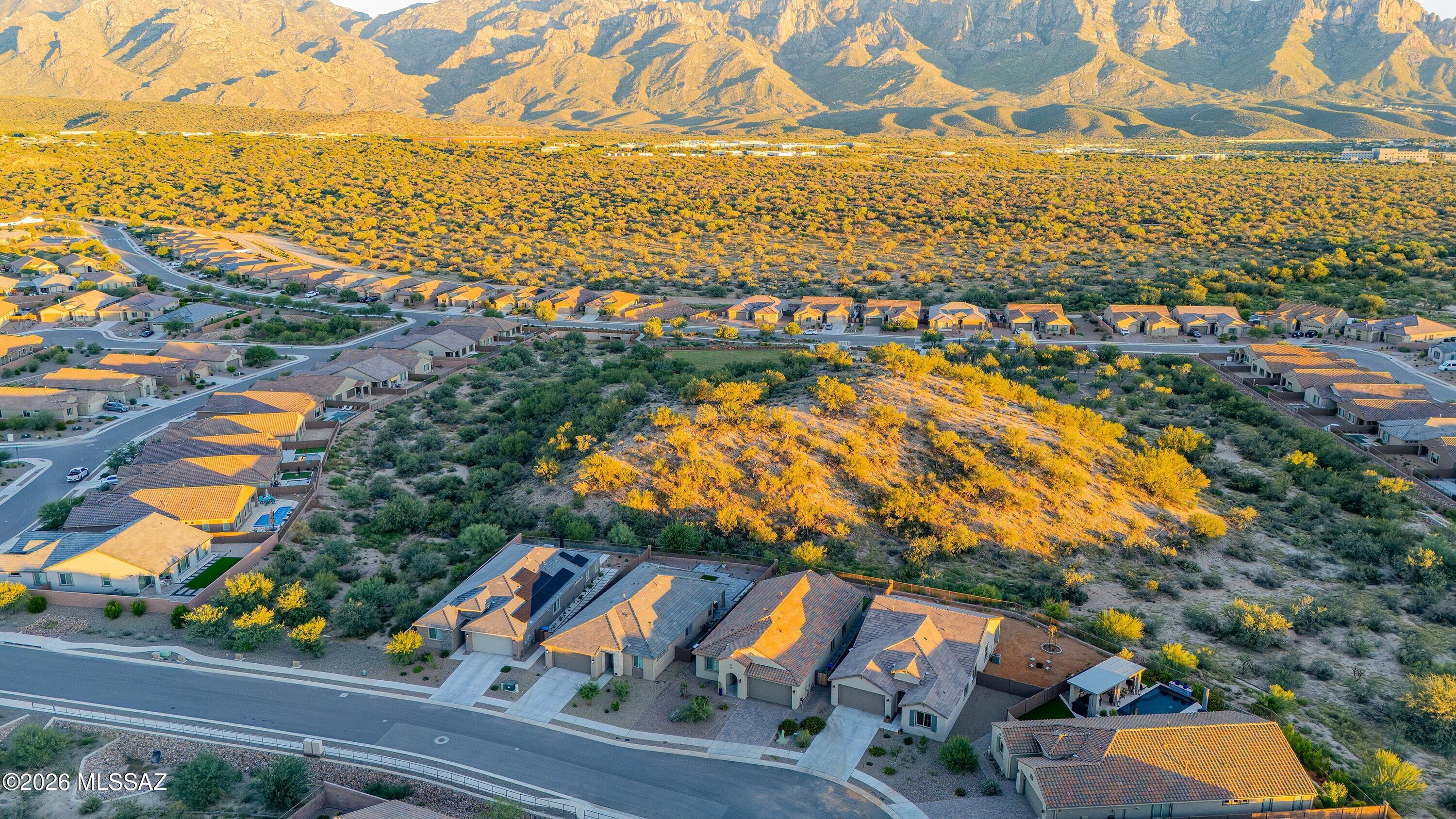 Tranquilo at Rancho Vistoso - Residential
