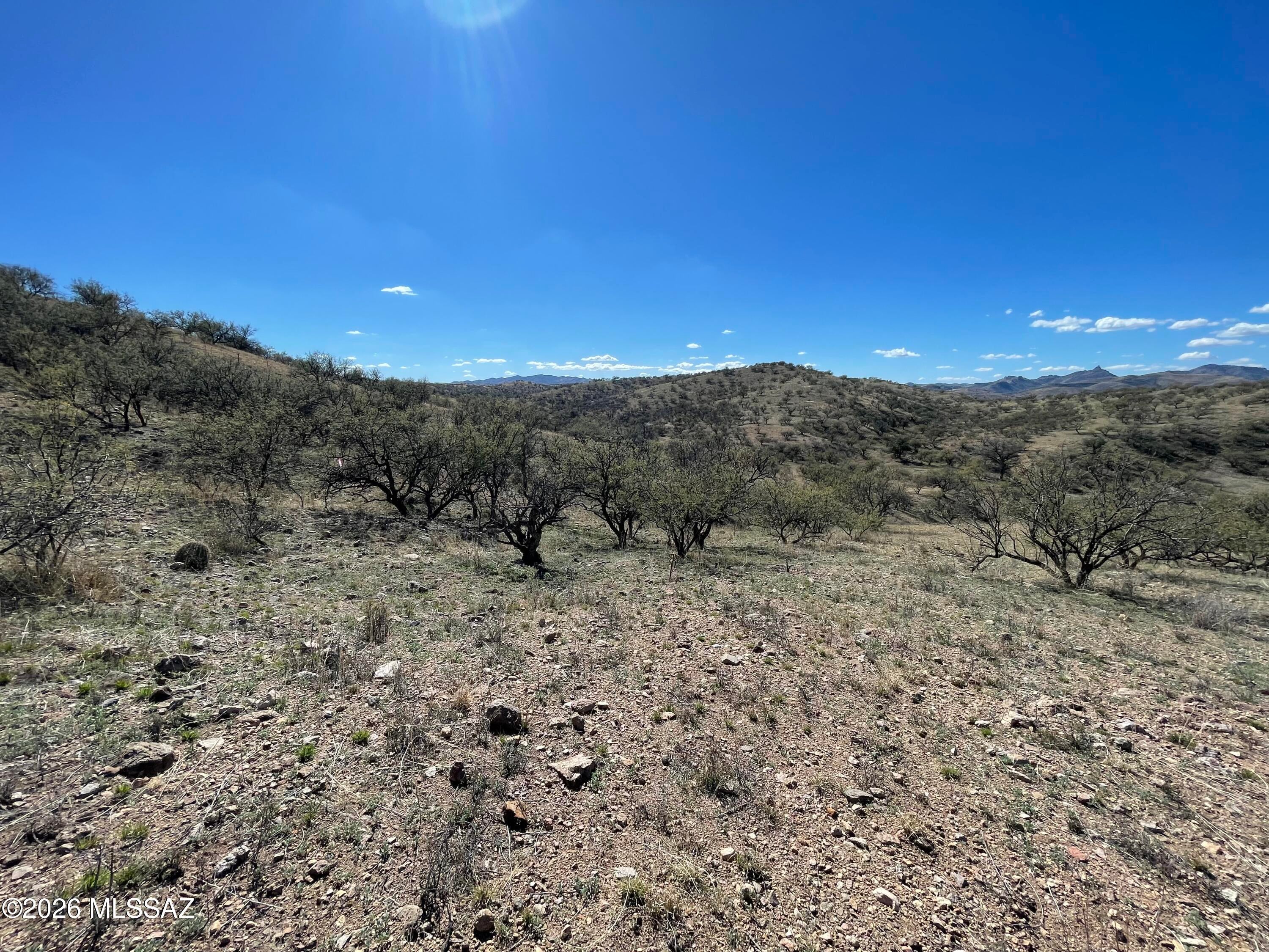 Rio Rico Ranchettes - Land