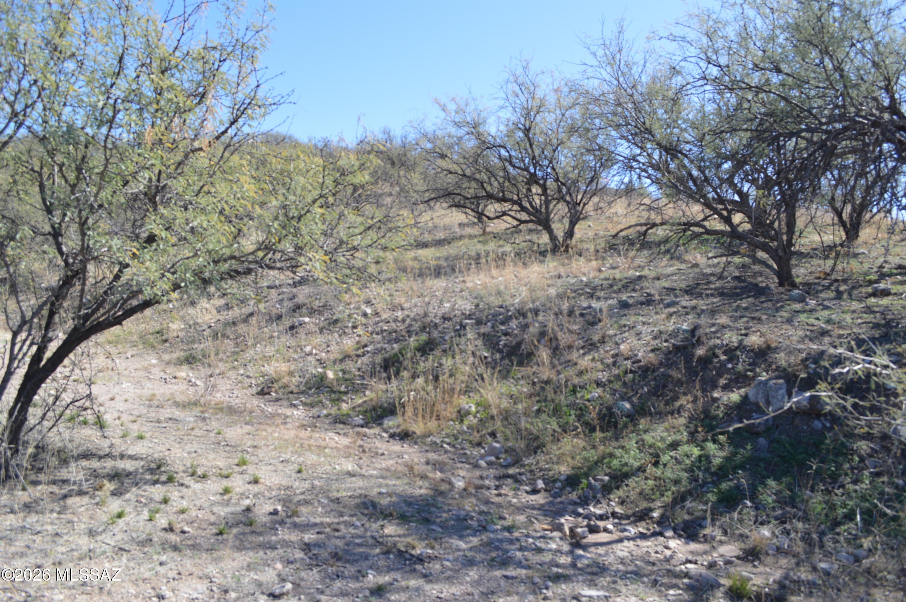Rio Rico Ranchettes - Land