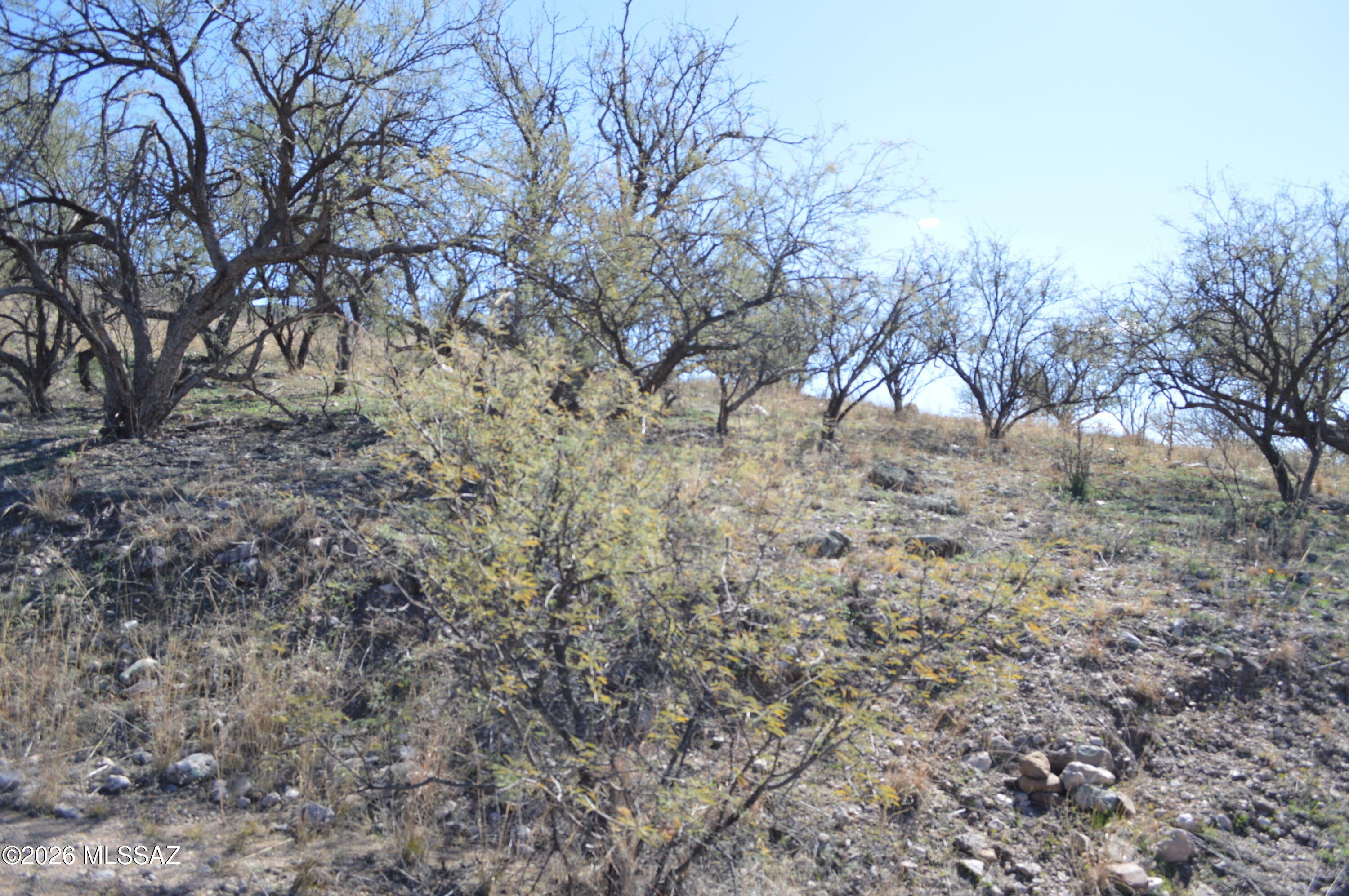 Rio Rico Ranchettes - Land