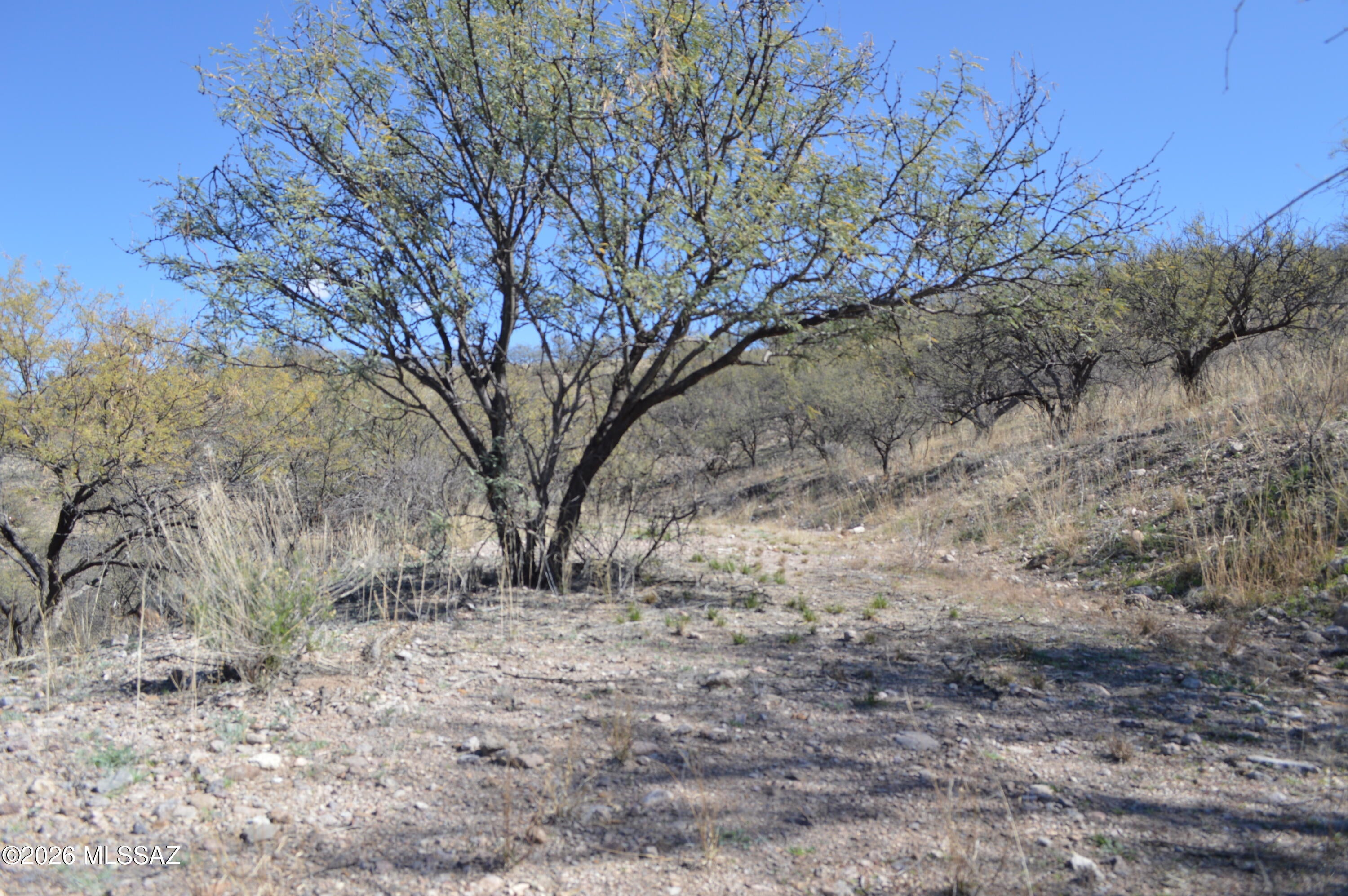 Rio Rico Ranchettes - Land