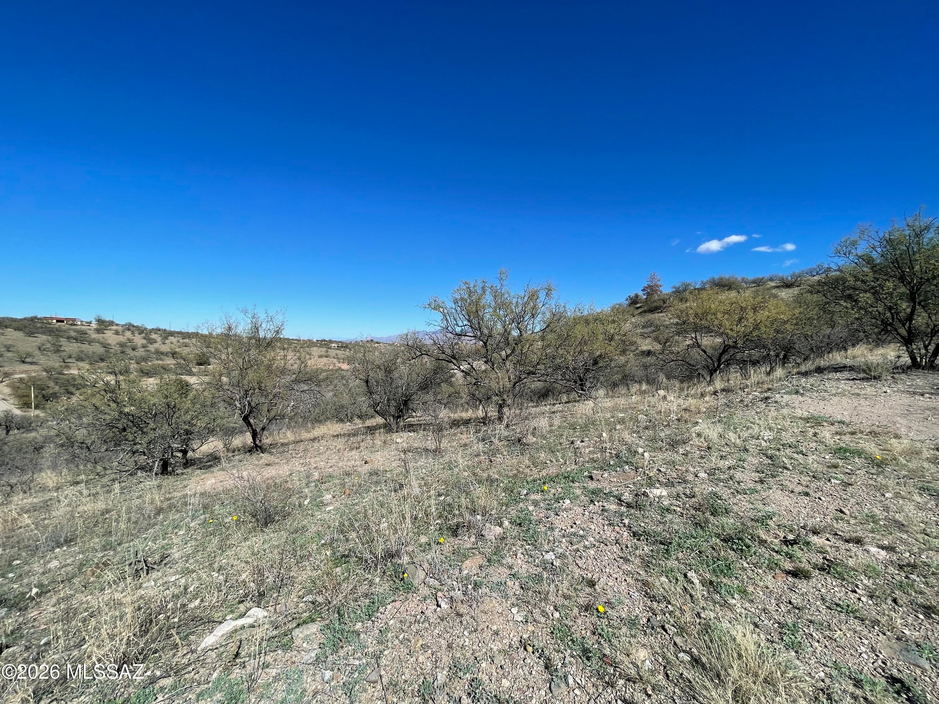 Rio Rico Ranchettes - Land