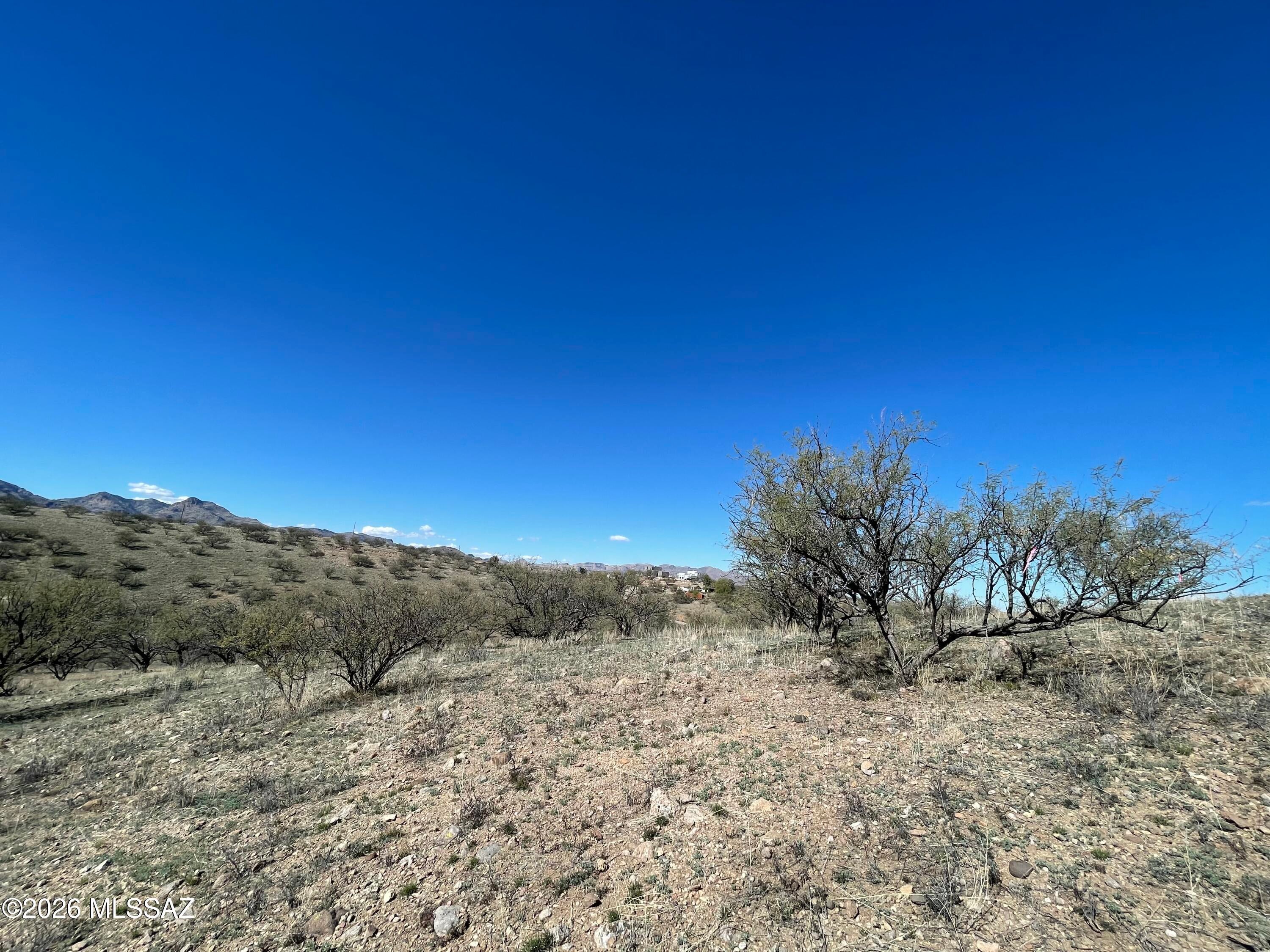 Rio Rico Ranchettes - Land