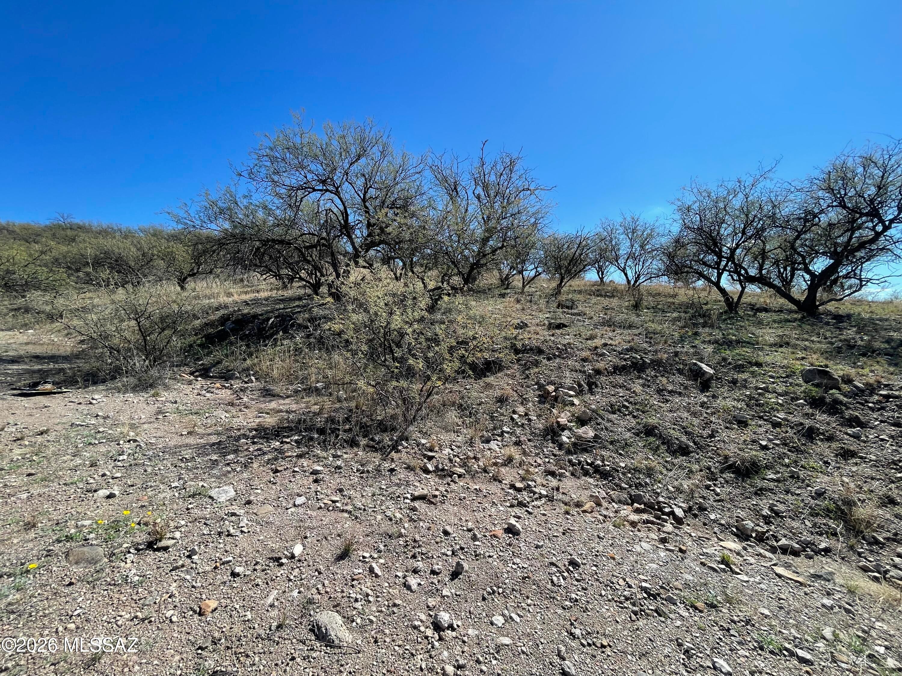 Rio Rico Ranchettes - Land