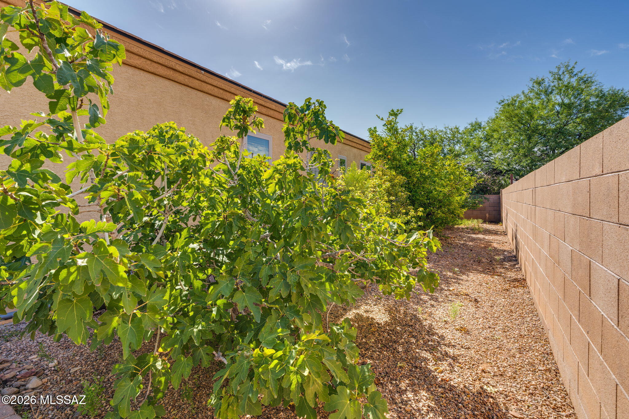 New Tucson Unit NO. 8 (1-455) - Residential