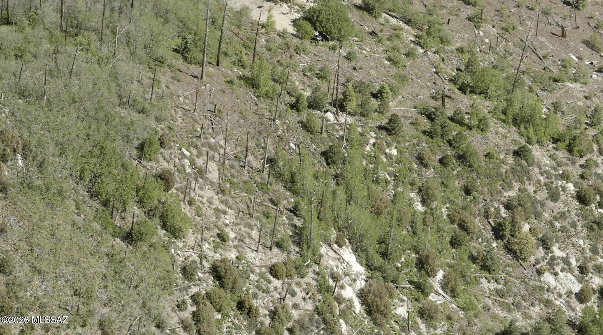 Escape to the serene mountain setting of Mt. Lemmon with this 0.23-acre vacant lot located in the sought-after community of Summerhaven. Sitting at more than 8,000 feet in elevation, this parcel presents an opportunity to create your own mountain cabin, weekend retreat, or peaceful getaway amid the stunning Santa Catalina Mountains. Experience the beauty of four distinct seasons while being conveniently close to attractions including the Mt. Lemmon Cookie Cabin, Ski Valley, and an abundance of hiking trails. Tucson is approximately a scenic 45-minute drive away, offering the perfect balance of mountain seclusion and accessibility.

*Property is not accessible by vehicle.