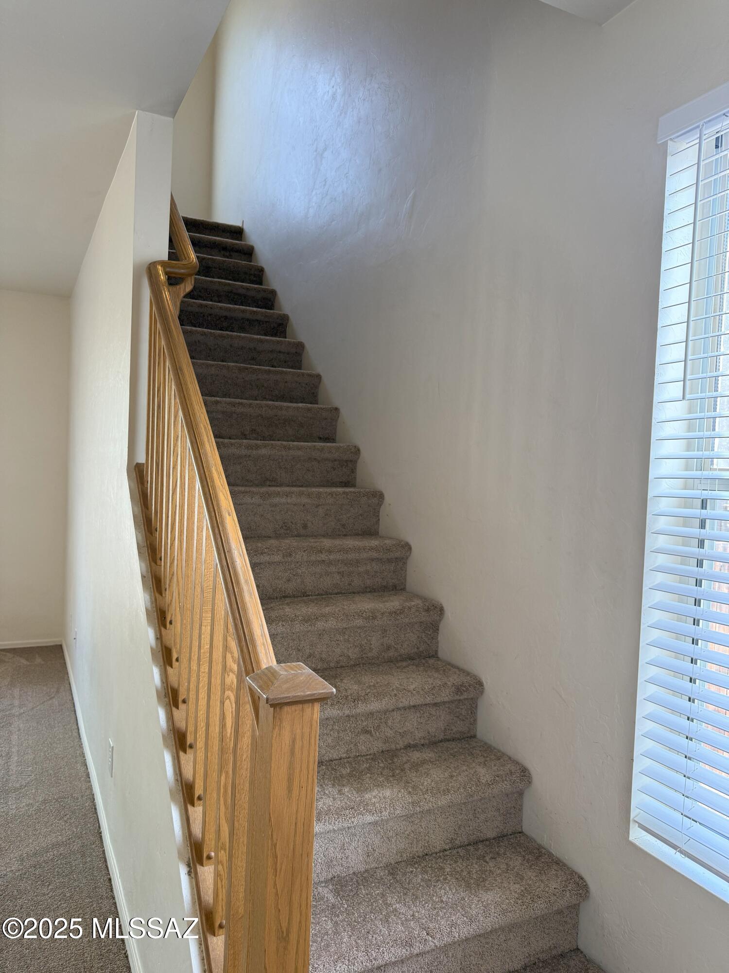 Starr Pass Heights (1-114) - Residential Lease