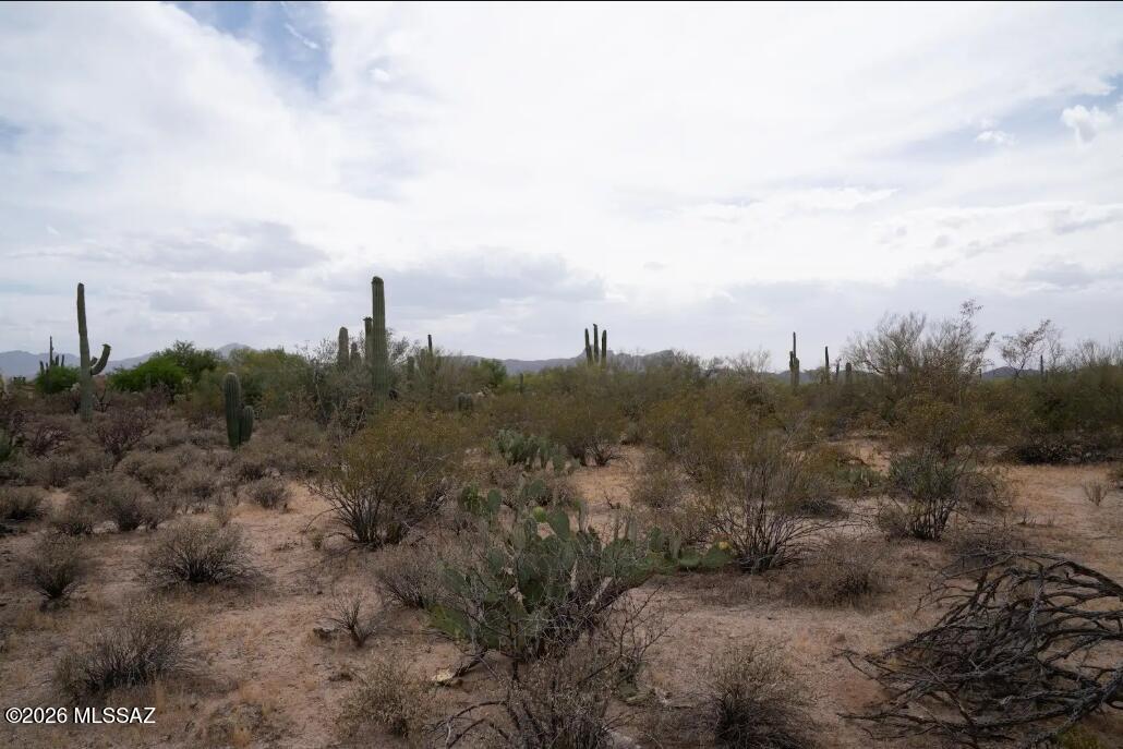 Beautiful and lush 3.3 acre parcel on NW side. Rural and quiet feel. Lushly vegetated with saguaros, and palo verde trees. Easy to clear. Beaitufil views of Tucson mountains. Near Twin Peaks and Lambert. Views all around. New SHARED WELL. Minutes from I10.