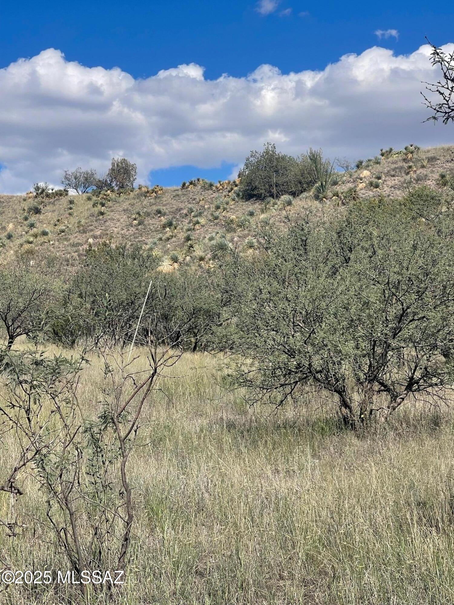 Three Canyons - Land