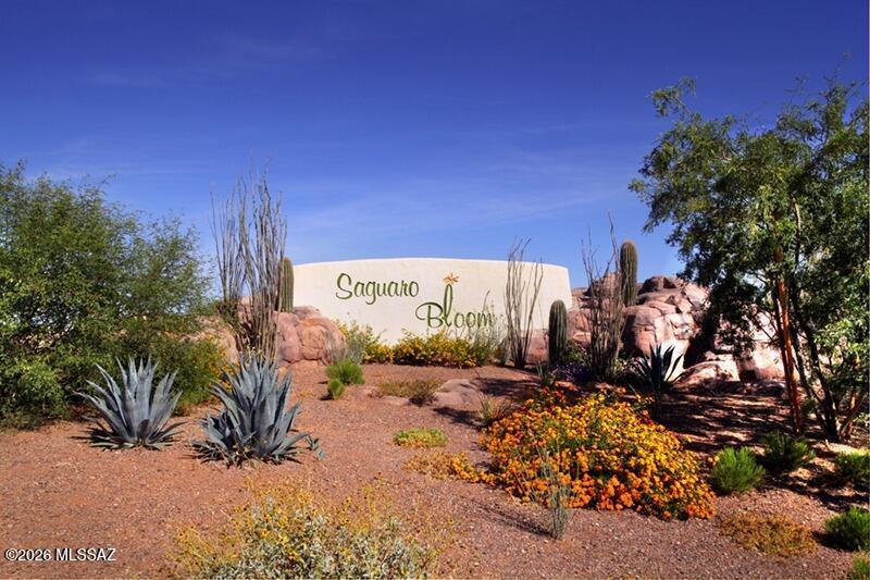 Saguaro Springs - Residential Lease