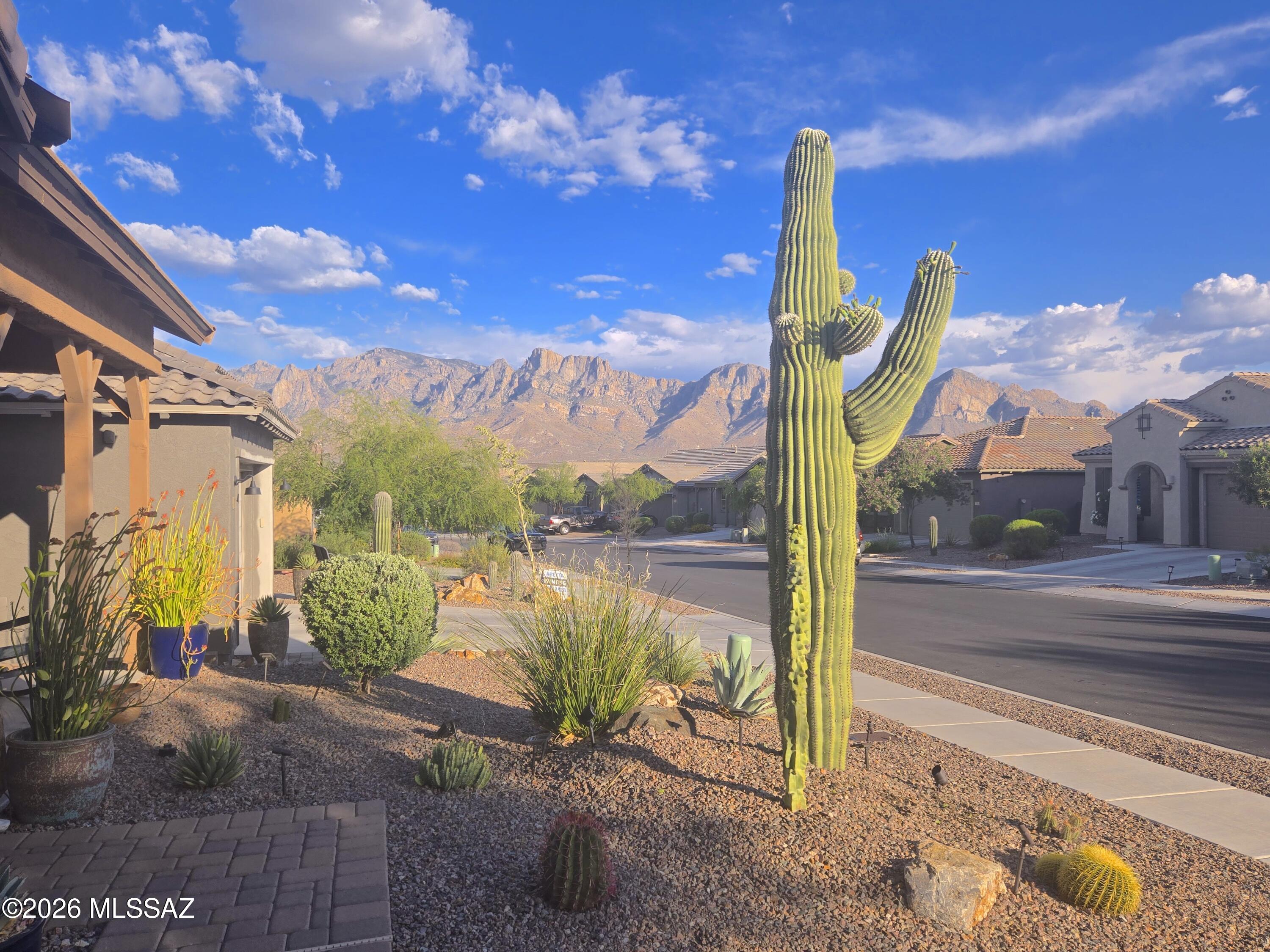 Rancho Vistoso Valley Vista - Residential