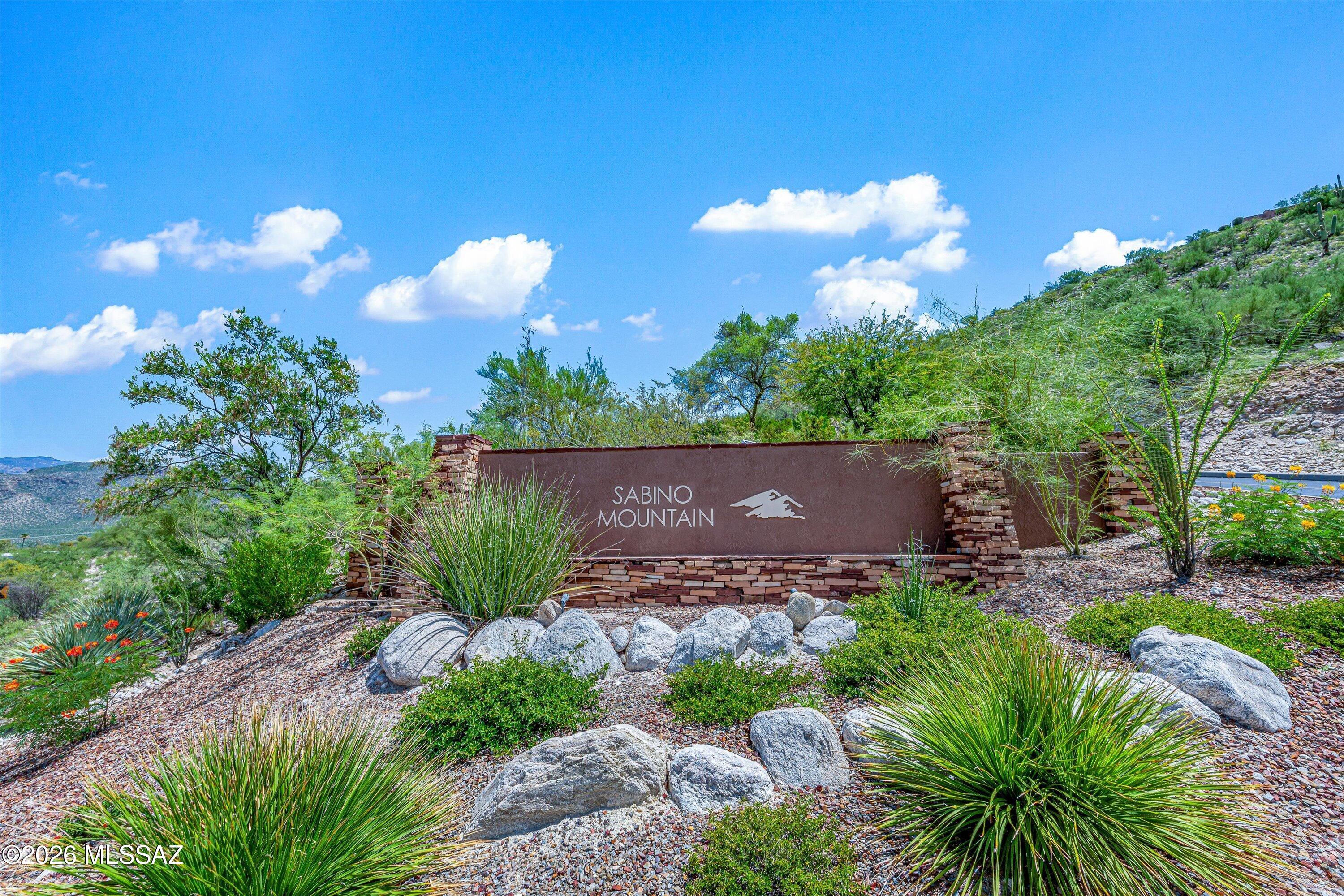 Sabino Mountain (1-290) - Residential