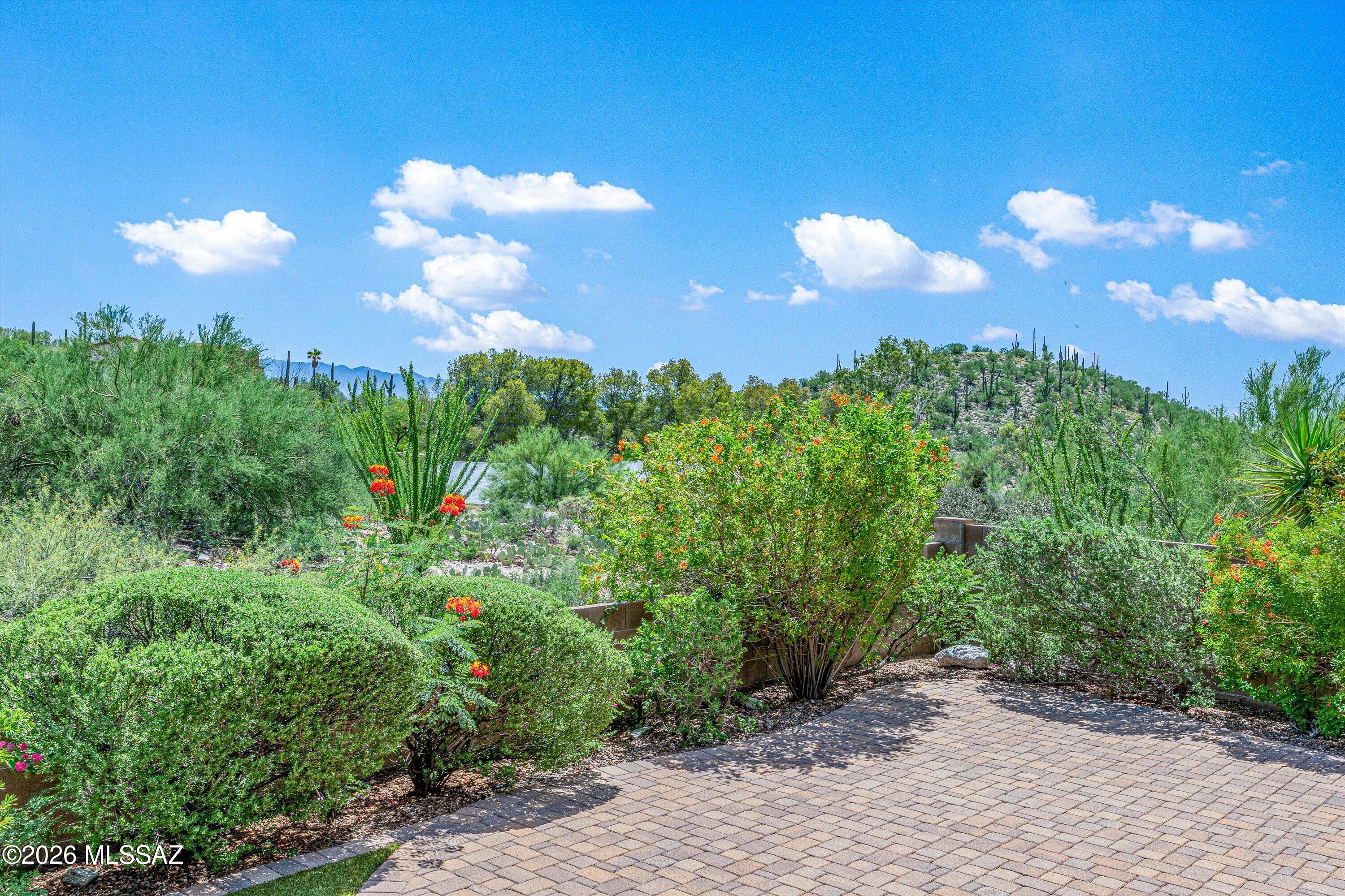 Sabino Mountain (1-290) - Residential