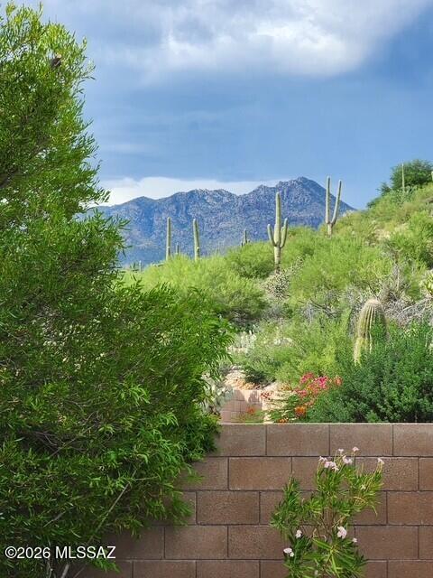 Sabino Mountain (1-290) - Residential
