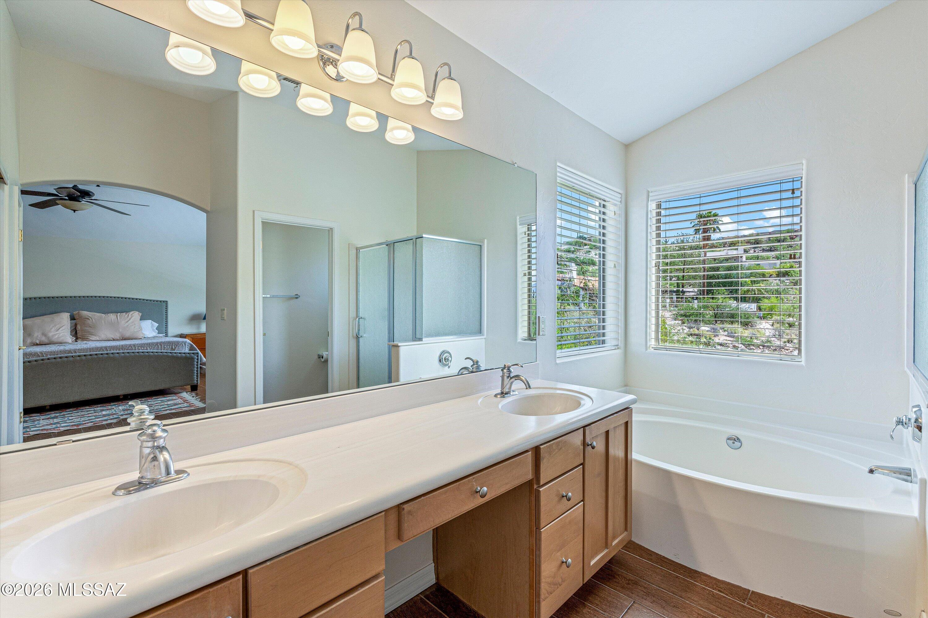 Sabino Mountain (1-290) - Residential