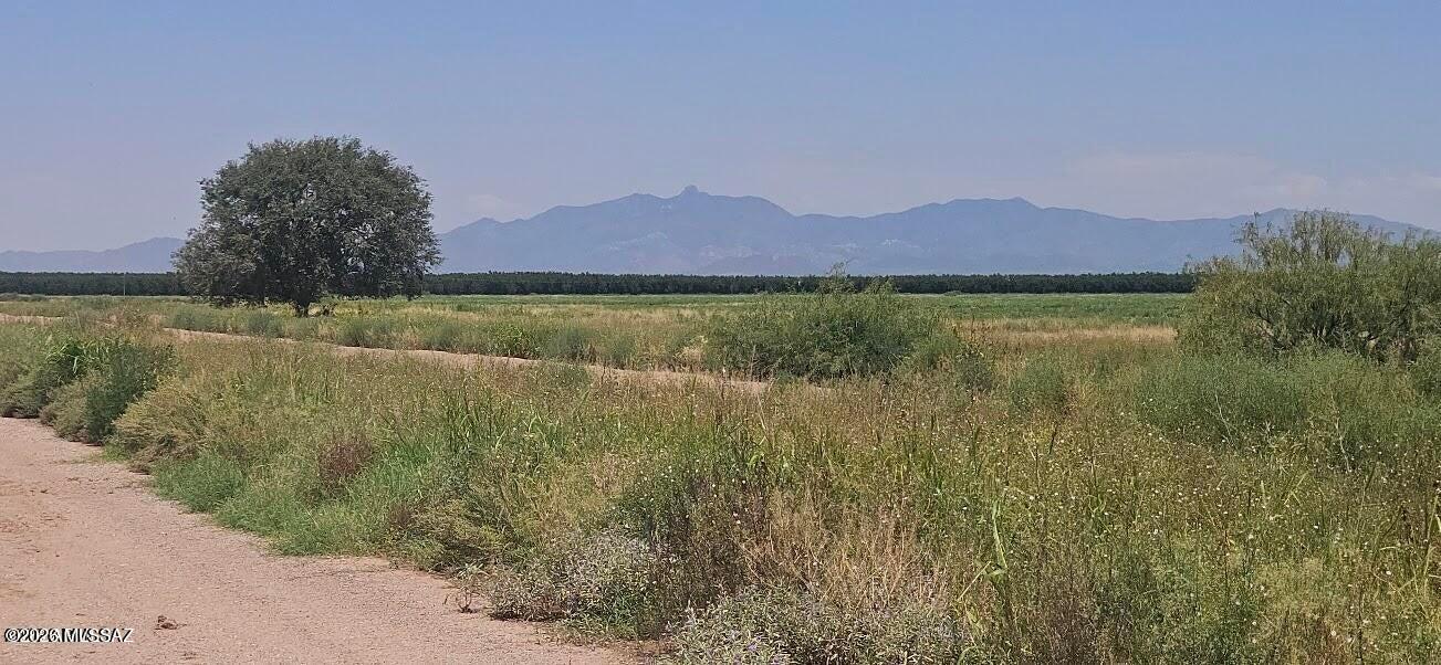 Owner will carry.  20 acres of land with a 1/2 well share and power on the property line. This parcel has sweeping views of the Chiricahua Mountains, Dragoon Mountains, and Dos Cabezas Mountains. Near wine country and near Pearce, Sunsites and Willcox. 360-degree mountain views. Property is perfect for residential, or agriculture uses. Bring your livestock, animals and build your perfect custom forever home or the perfect are for grapes. Endless possibilities.
